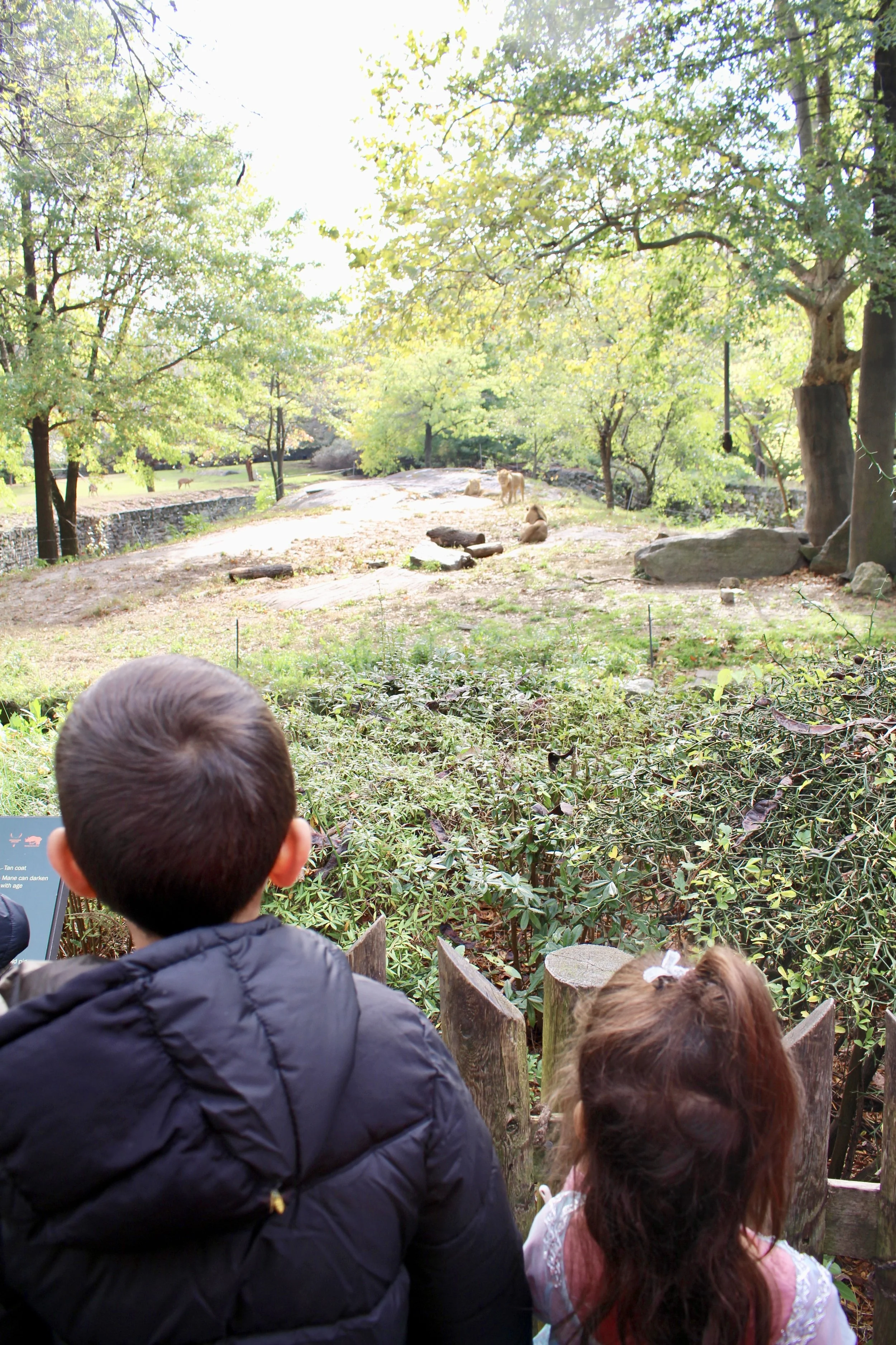 They were seriously amazed.