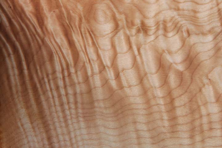 Quilted Maple
