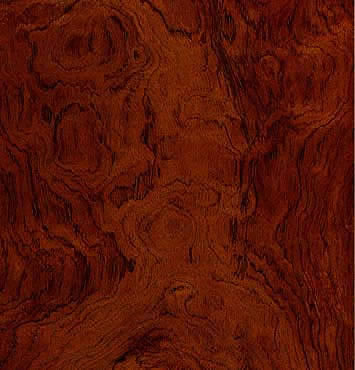 Bubinga