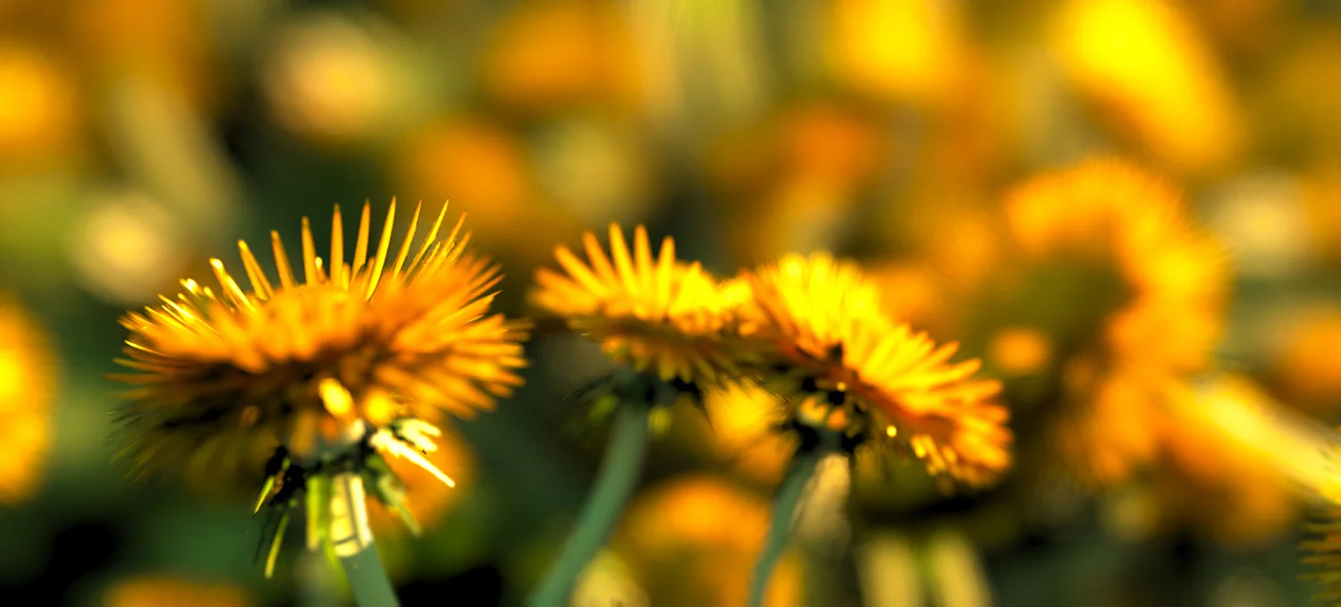 .EXR AND .HDR RENDERS