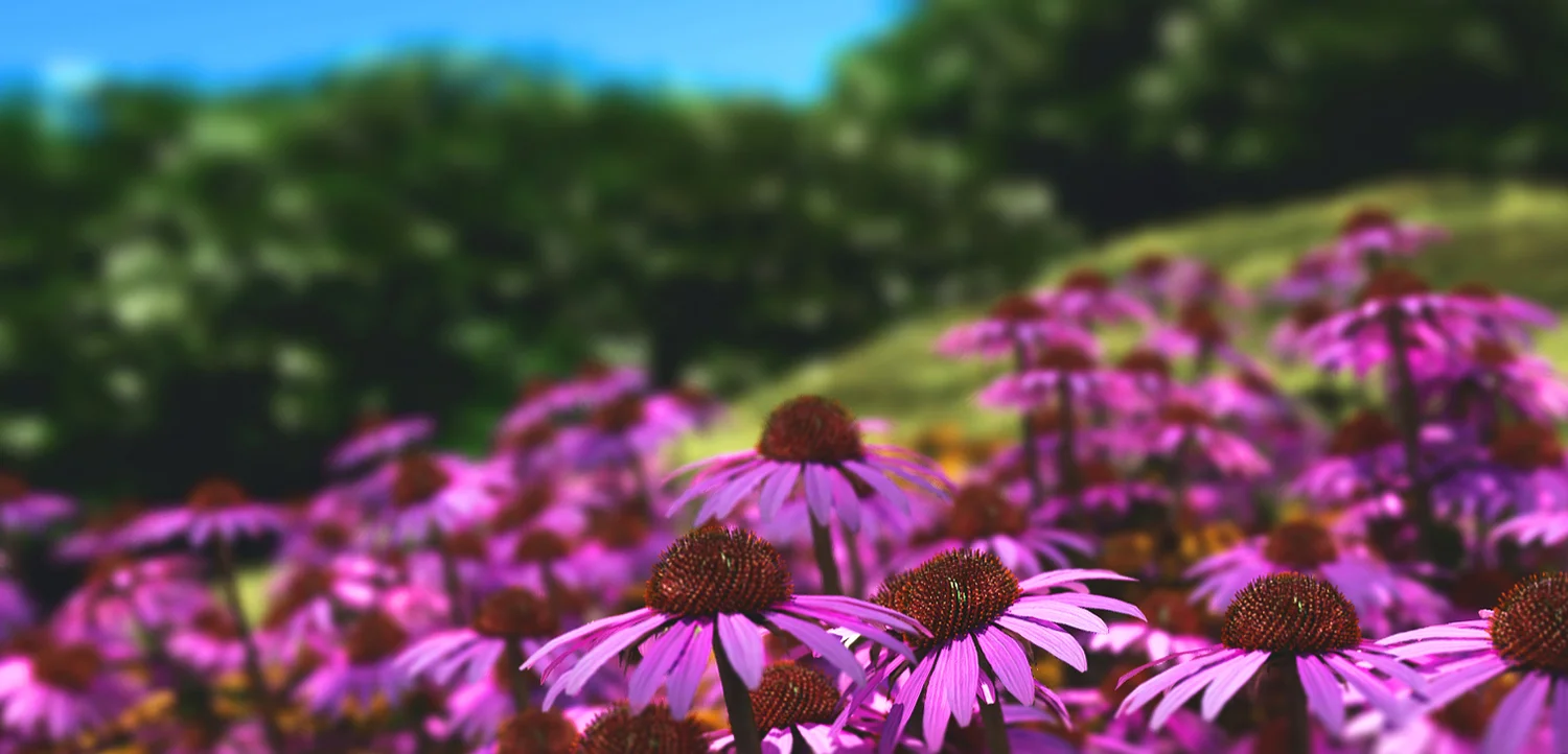 toymayker.com_midwest field.jpg