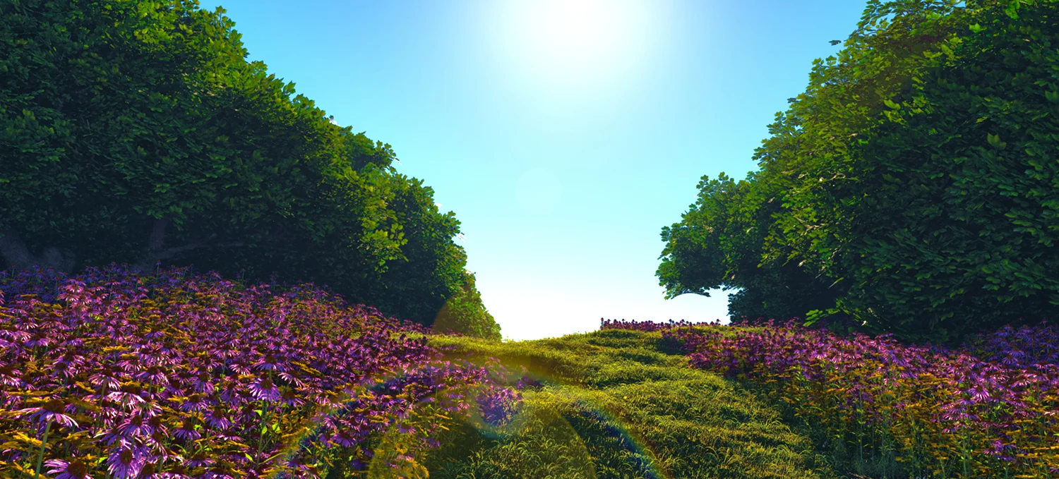toymayker.com_flower field path.jpg