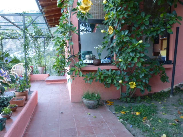 porch.jpg