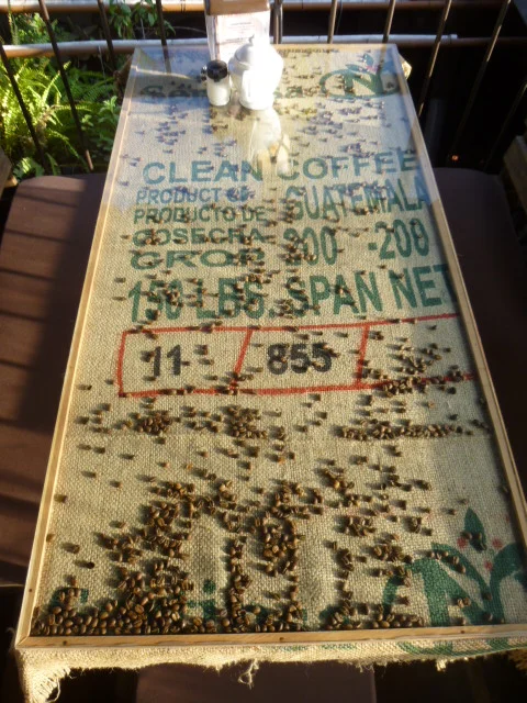coffee_table.jpg