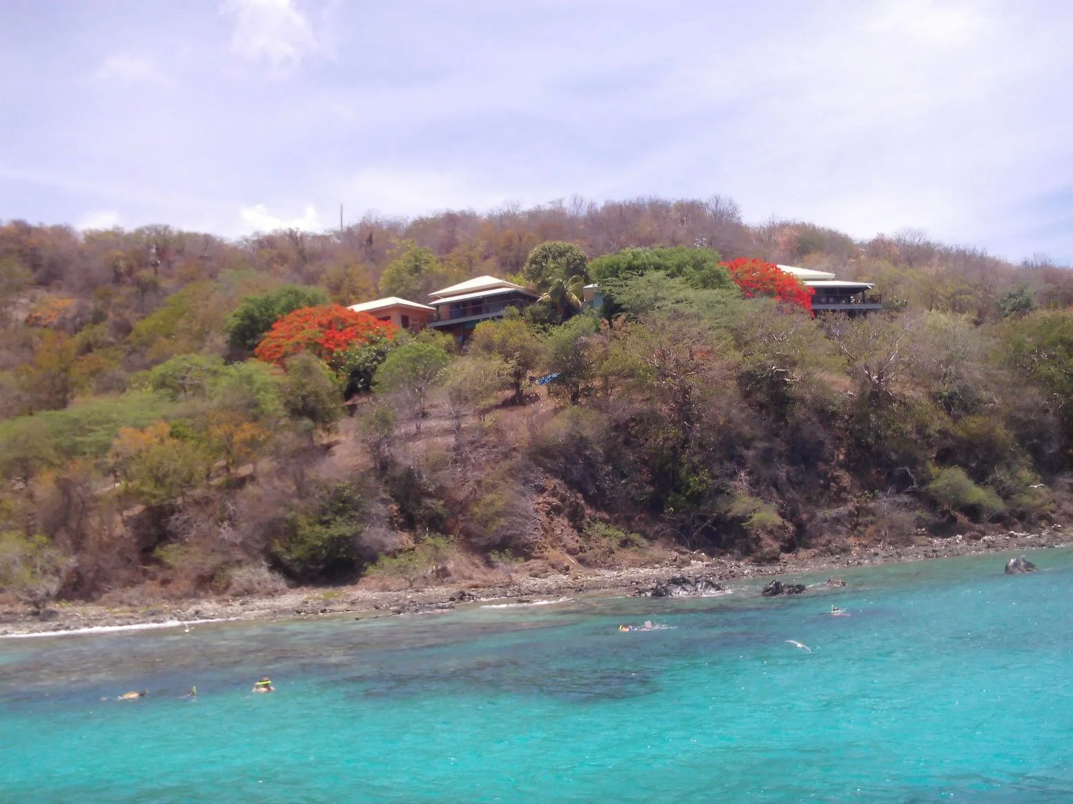 The reef, island houses, and two blooming flamboyán trees