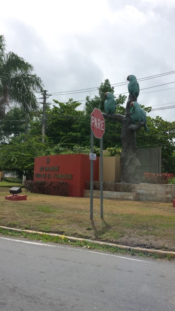 This is the sign at the corner of the twisty road down from the heights to the main drag of Rio Grande, not far from the road to El Yunque.