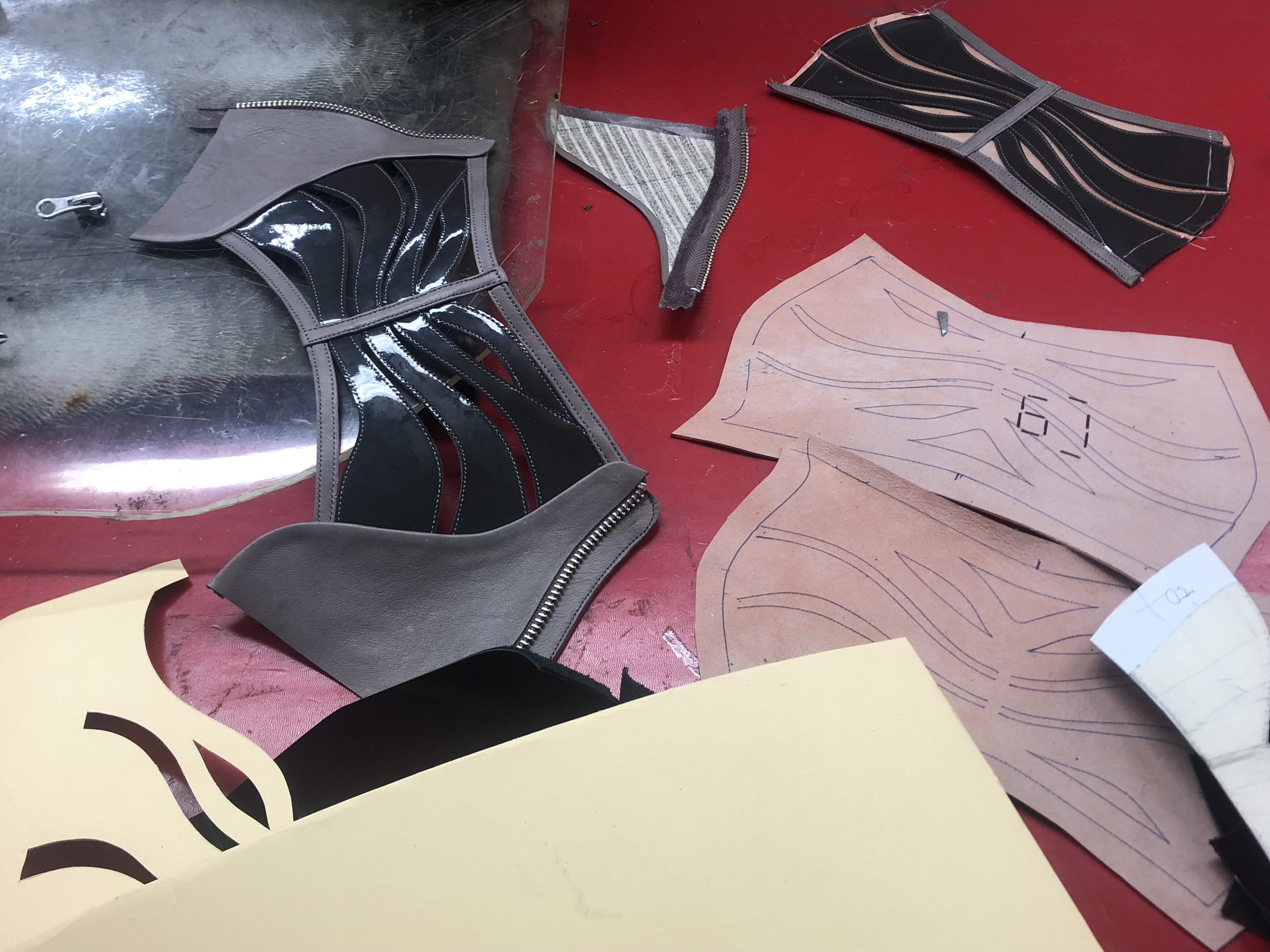 PAPILLON-FLORA in progress