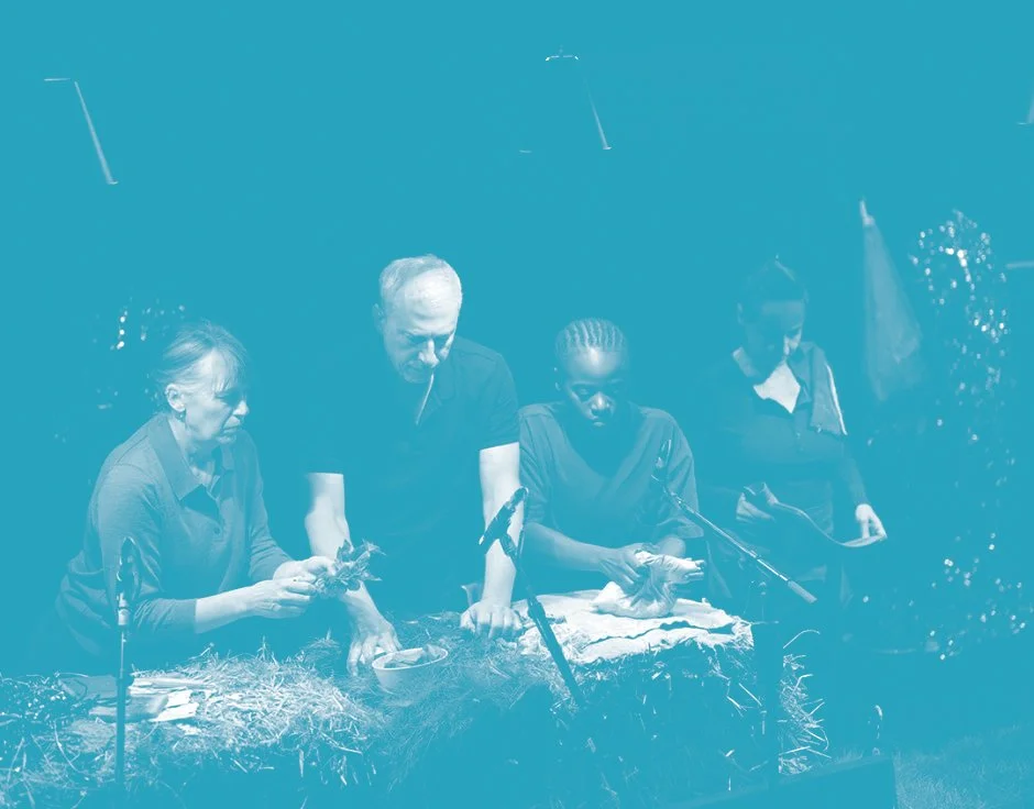 Why Listen to Animals