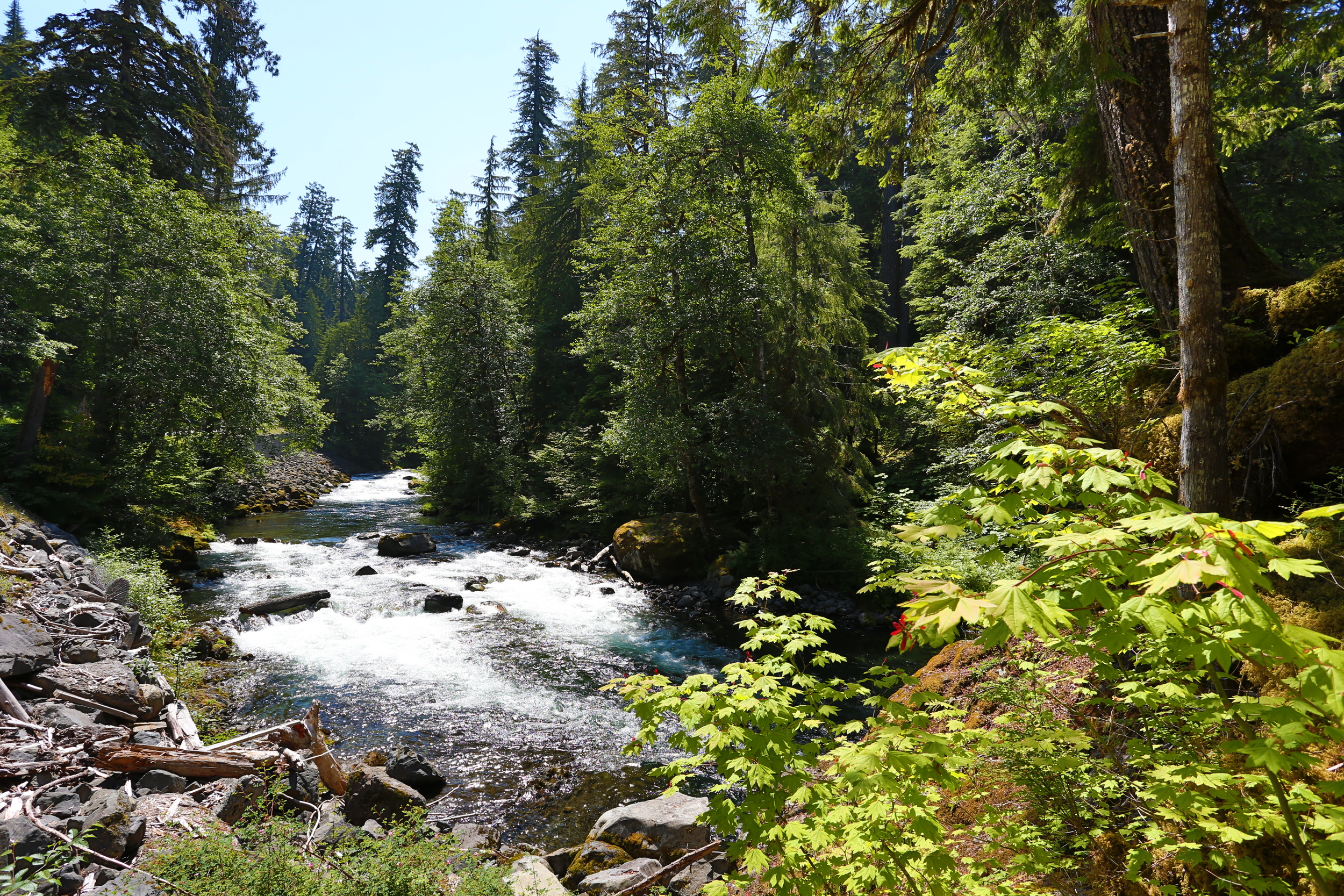 USA2012_0699.JPG