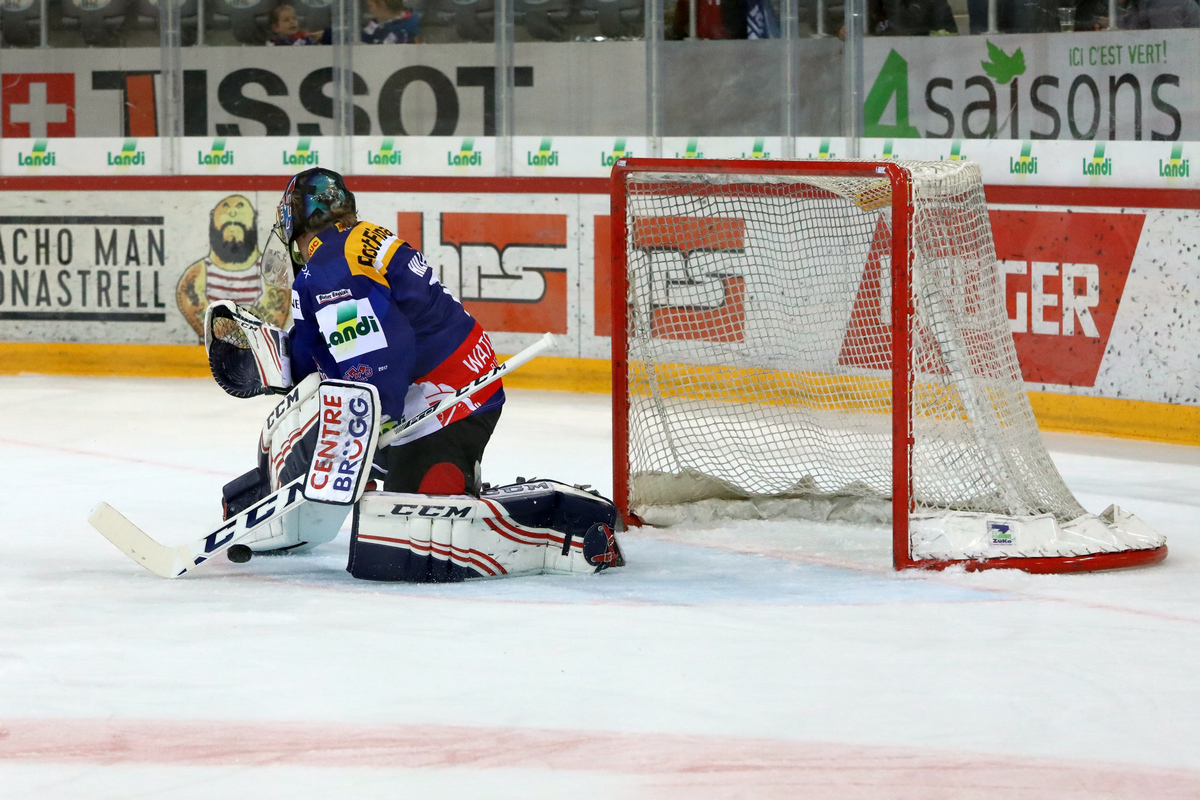 G16_EHCB-HCFG_0380_c_sm.jpg