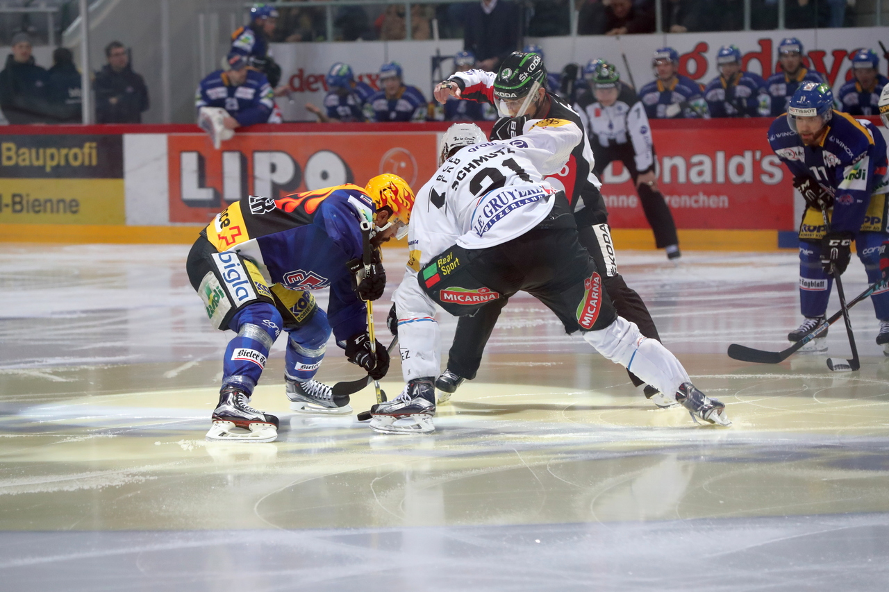 G42_EHCB-HCFG_0009_c_sm.jpg