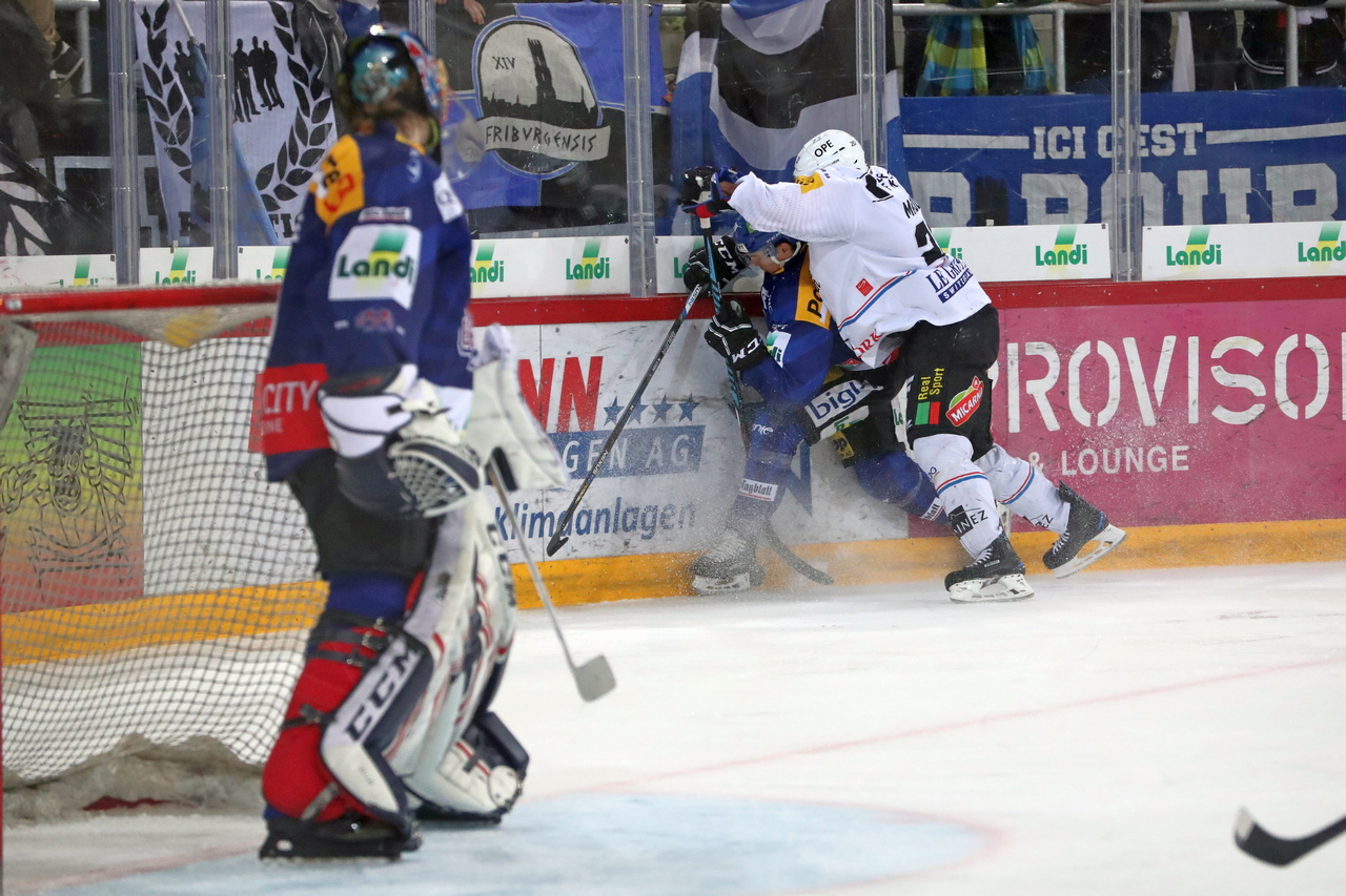 G42_EHCB-HCFG_1120_c_sm.jpg