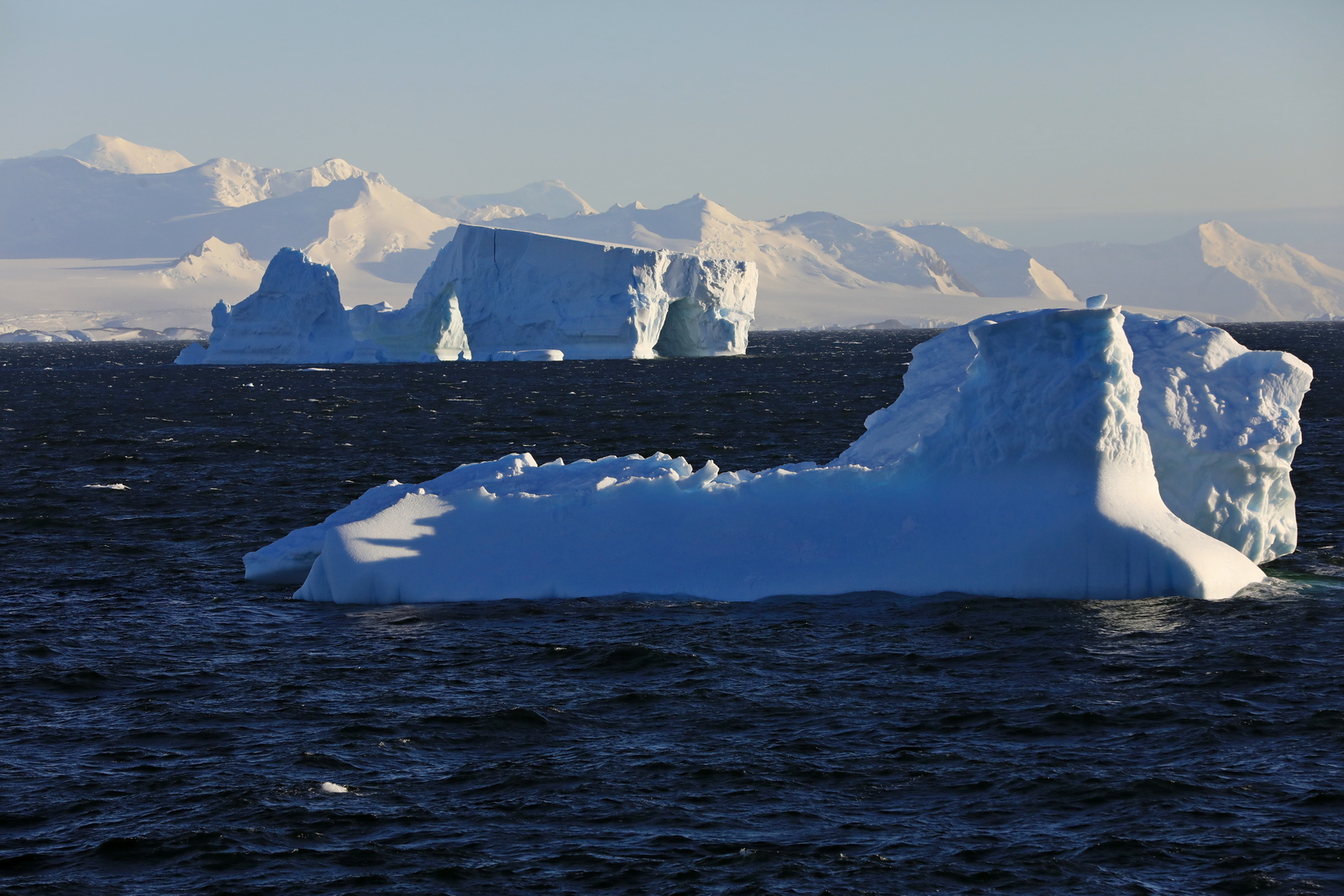 1702_Antarctique_01456_c_sm.jpg