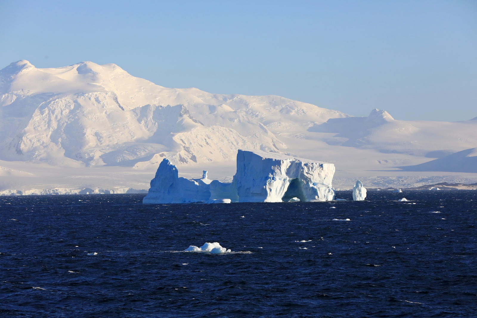 1702_Antarctique_01481_c_sm.jpg