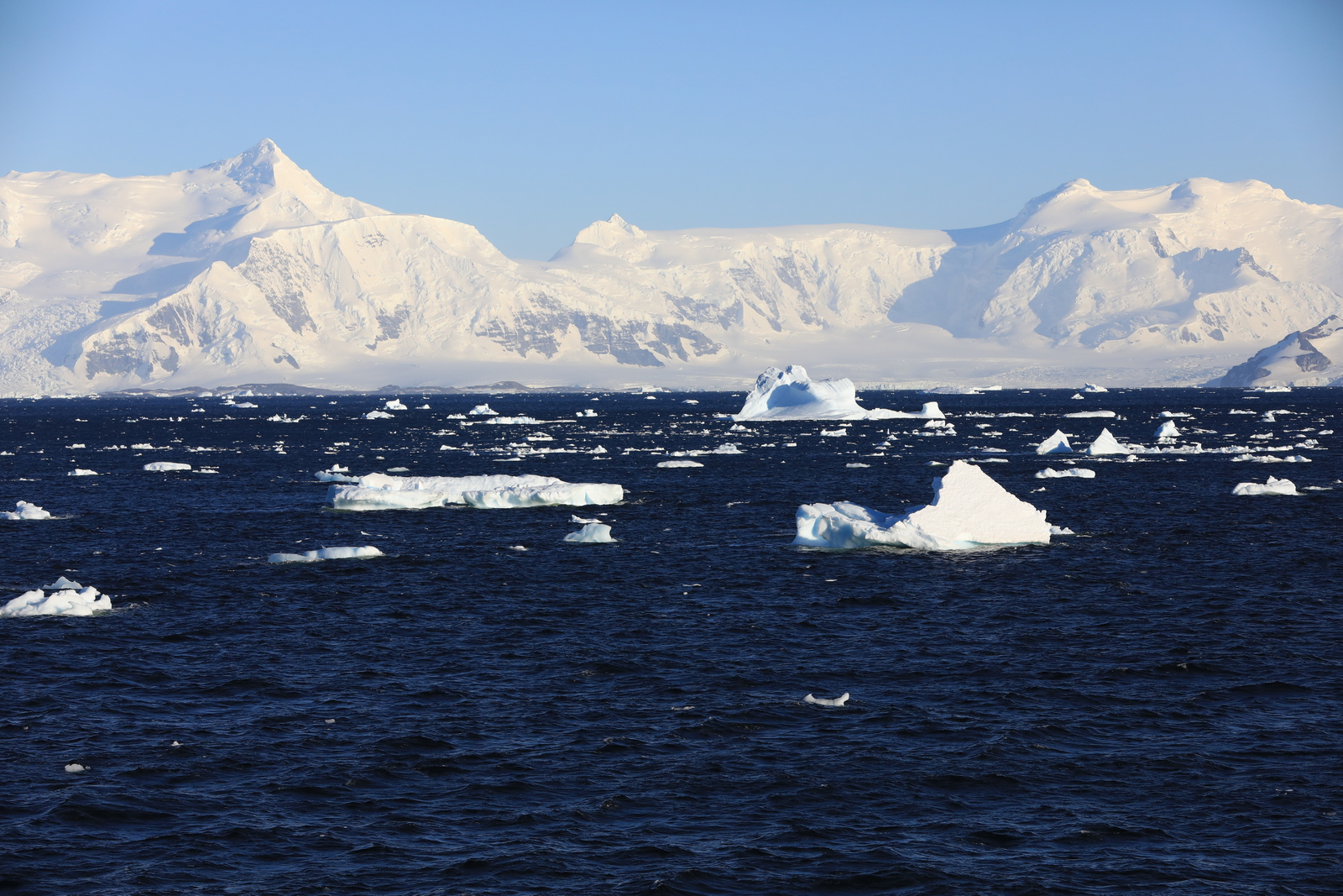 1702_Antarctique_01622_c_sm.jpg