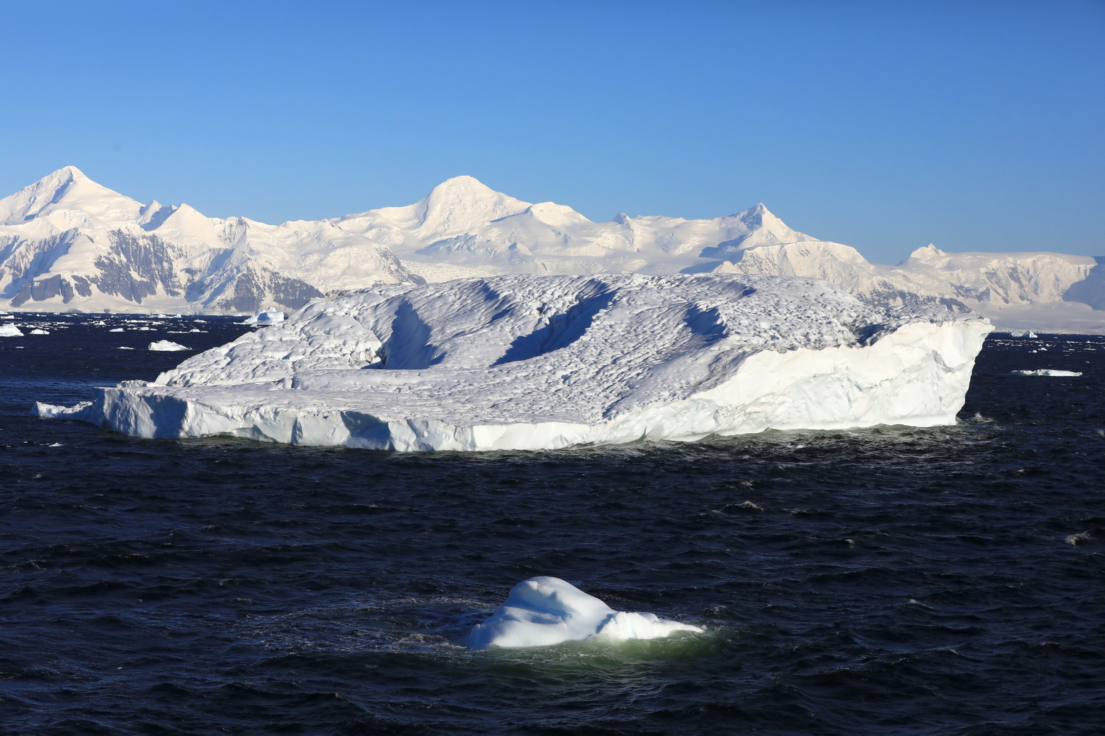 1702_Antarctique_01654_c_sm.jpg