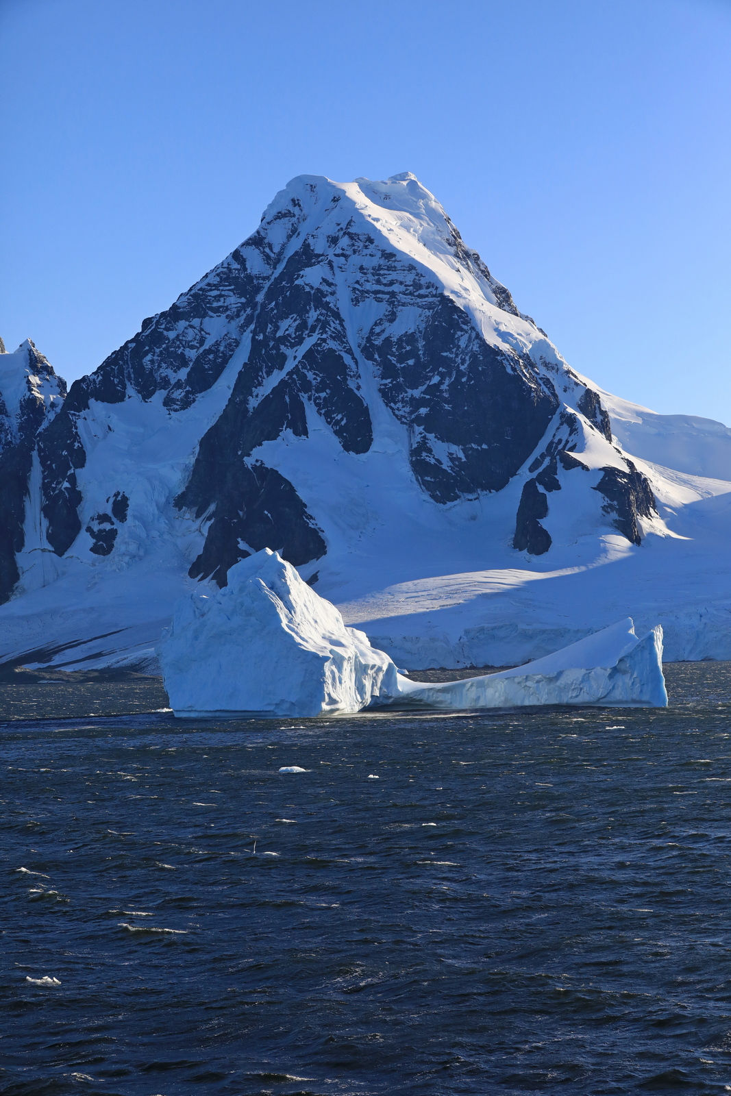 1702_Antarctique_01668_c_sm.jpg