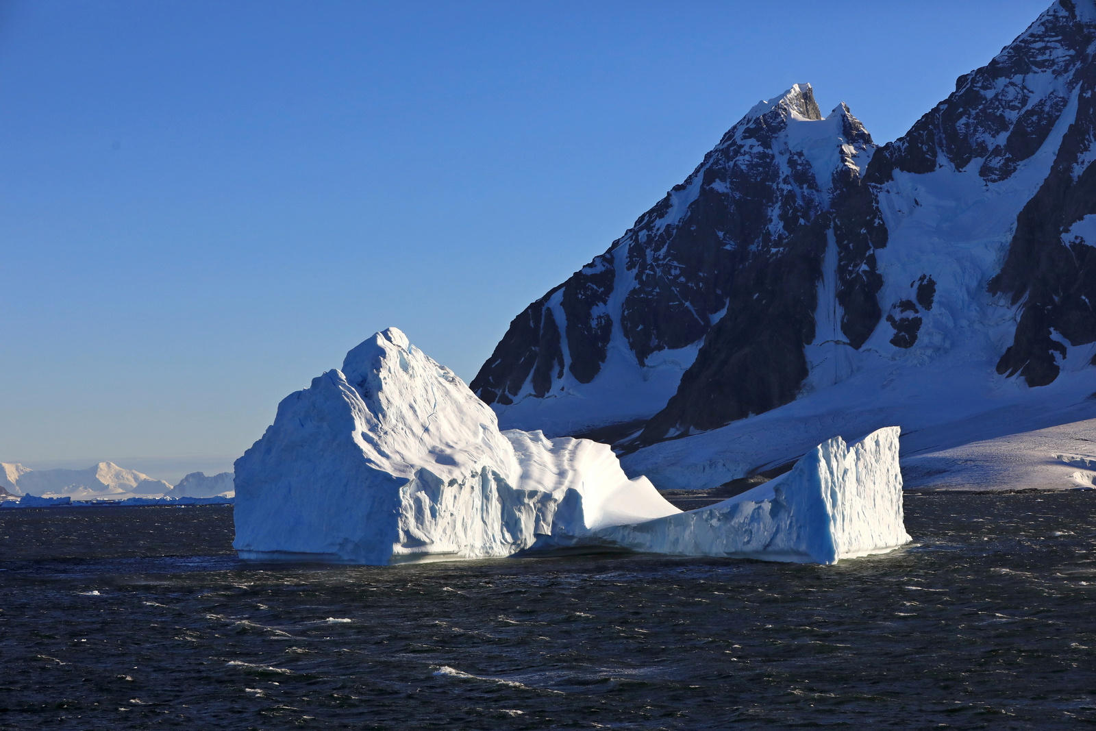 1702_Antarctique_01677_c_sm.jpg