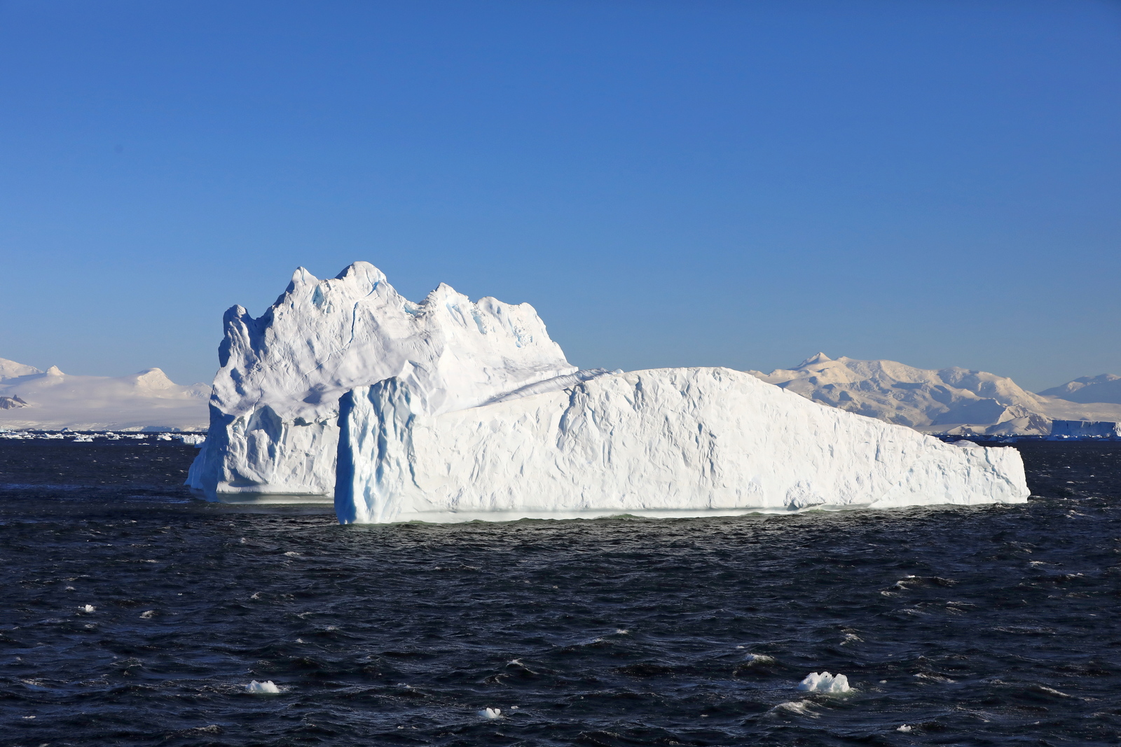 1702_Antarctique_01696_c_sm.jpg