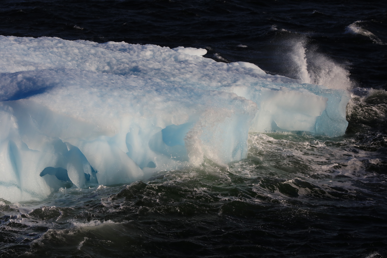 1702_Antarctique_01711_c_sm.jpg