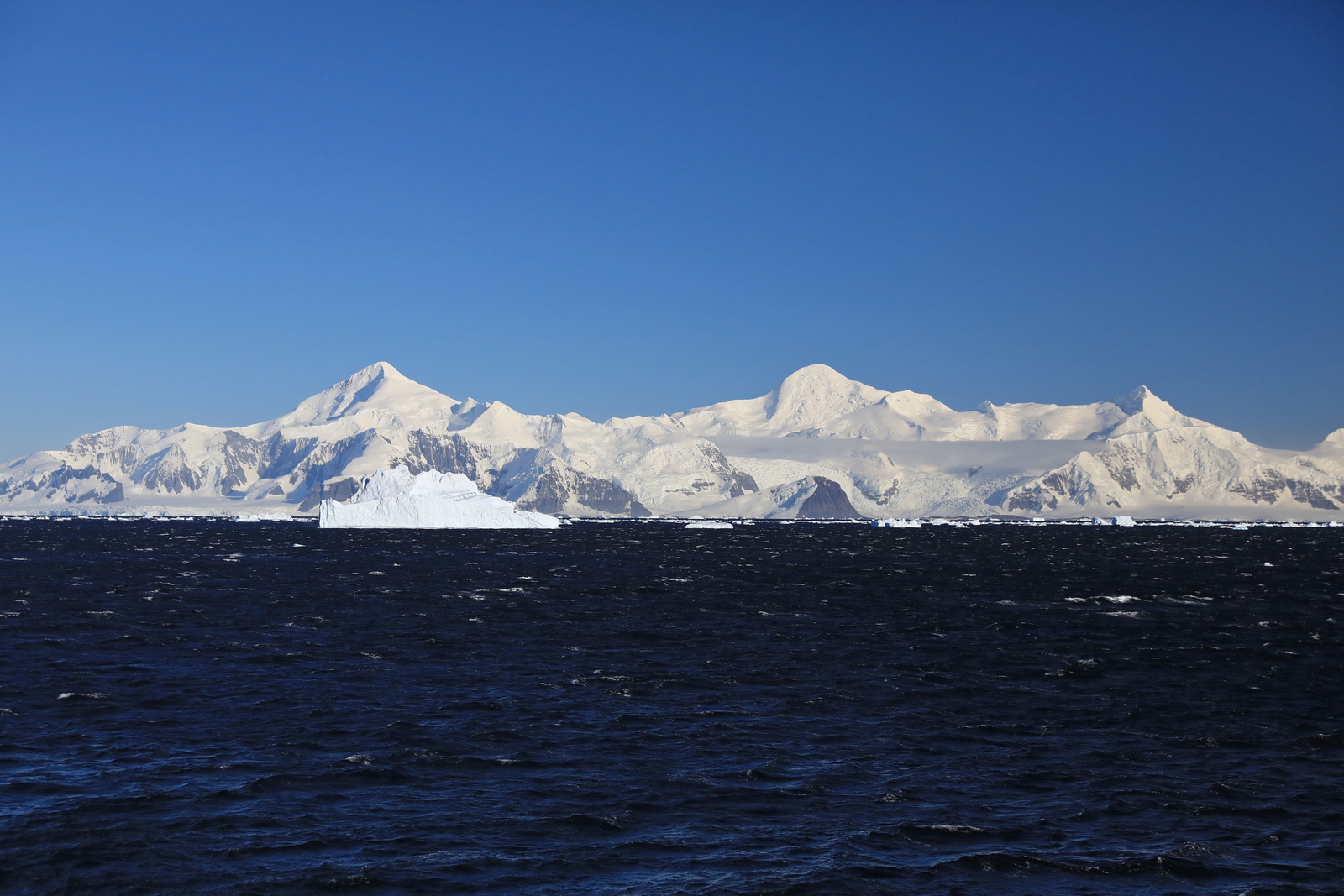 1702_Antarctique_01794_c_sm.jpg