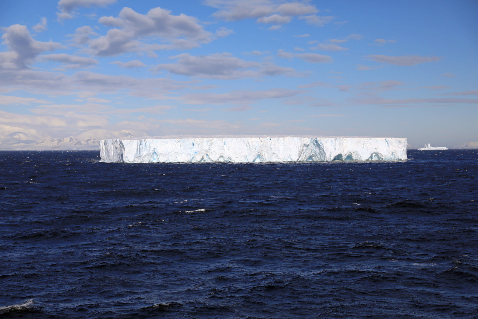 1702_Antarctique_02188_c_sm.jpg