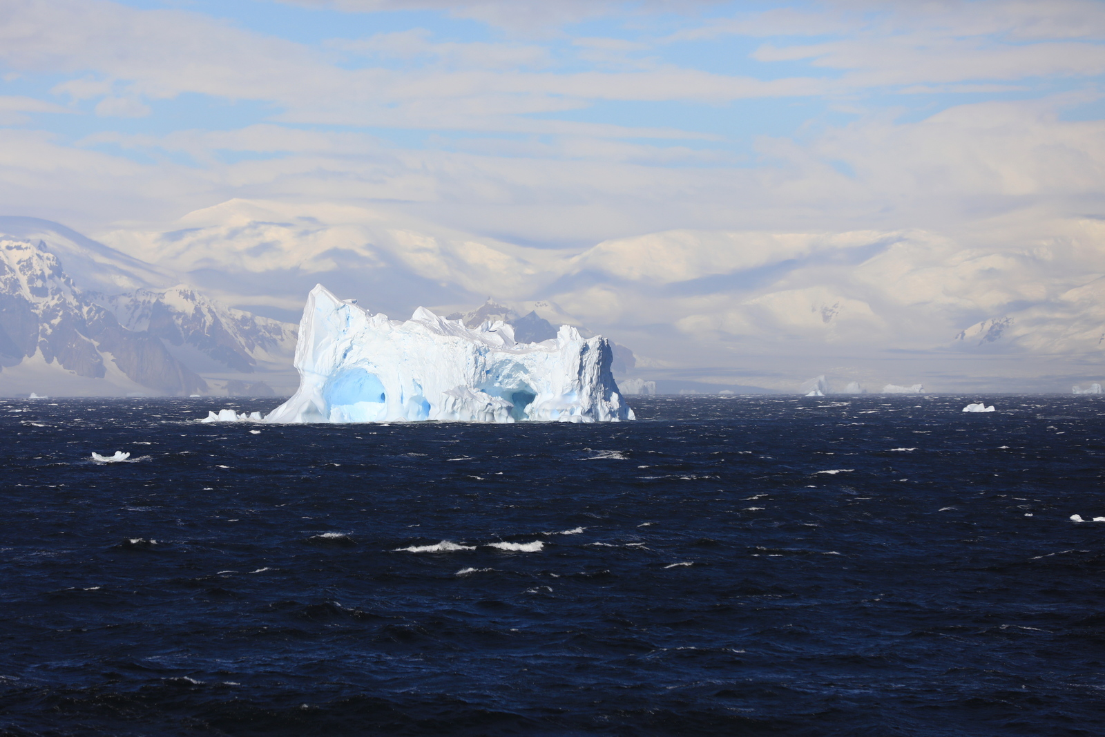 1702_Antarctique_02201_c_sm.jpg