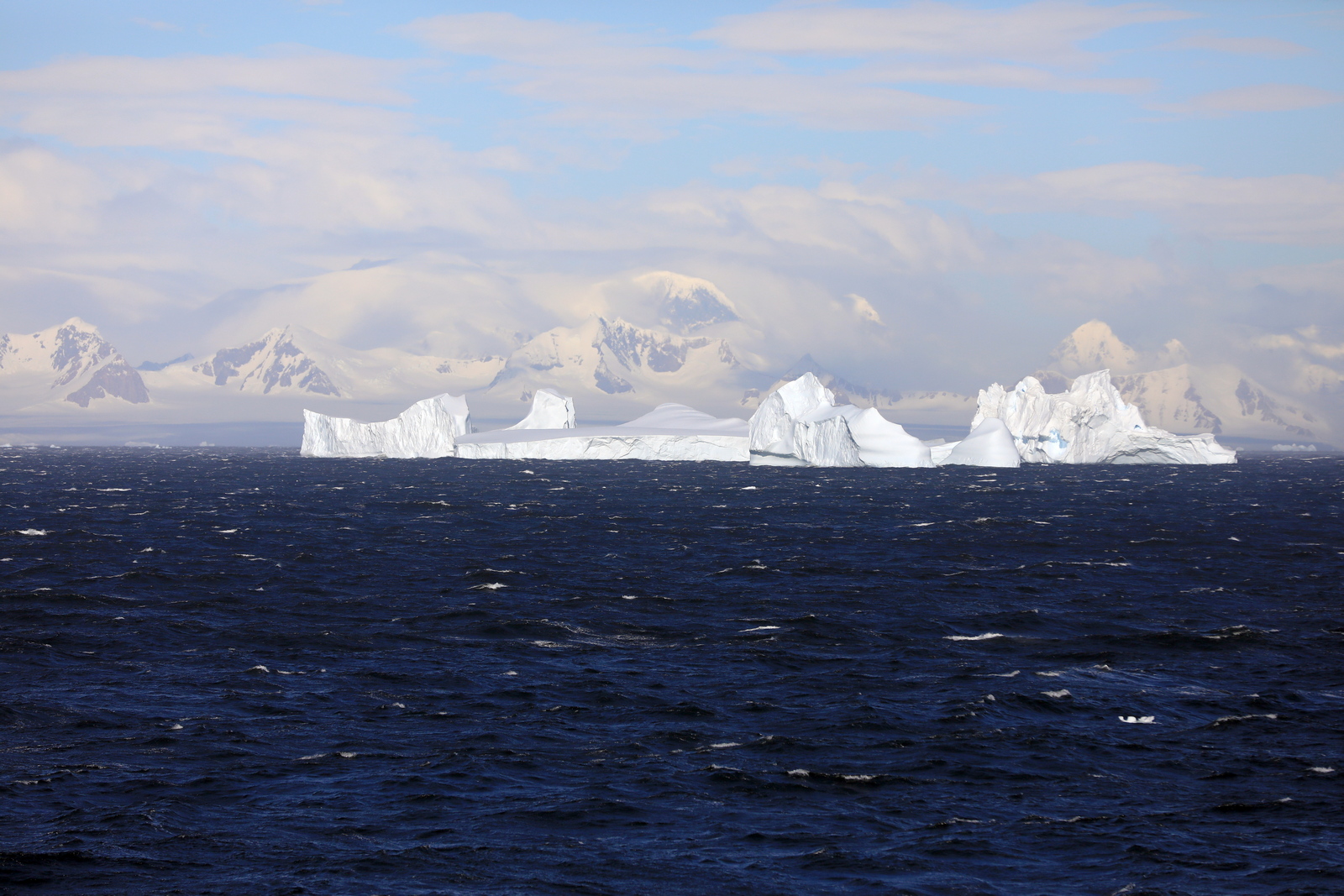 1702_Antarctique_02226_c_sm.jpg