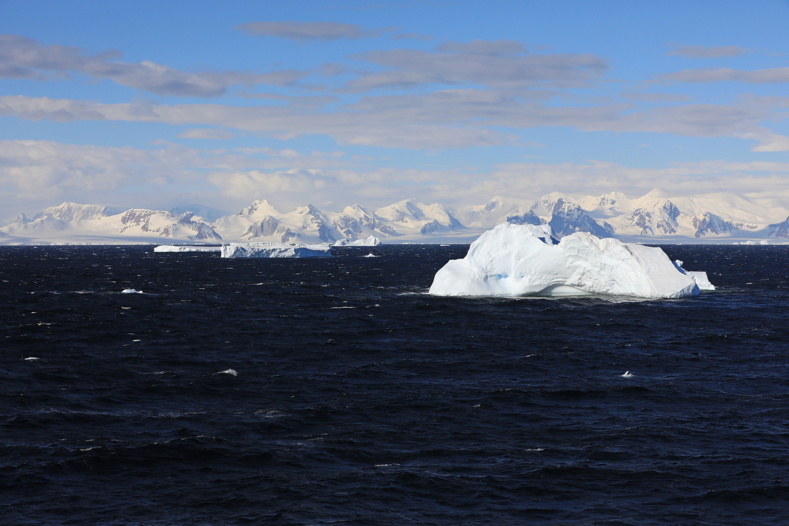 1702_Antarctique_02463_c_sm.jpg