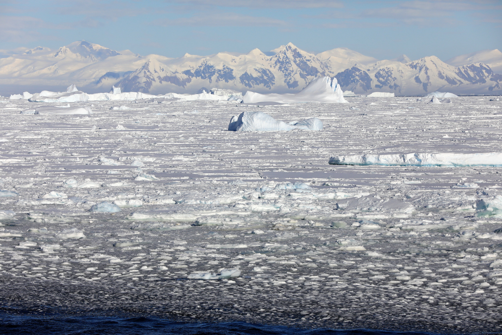 1702_Antarctique_02636_c_sm.jpg