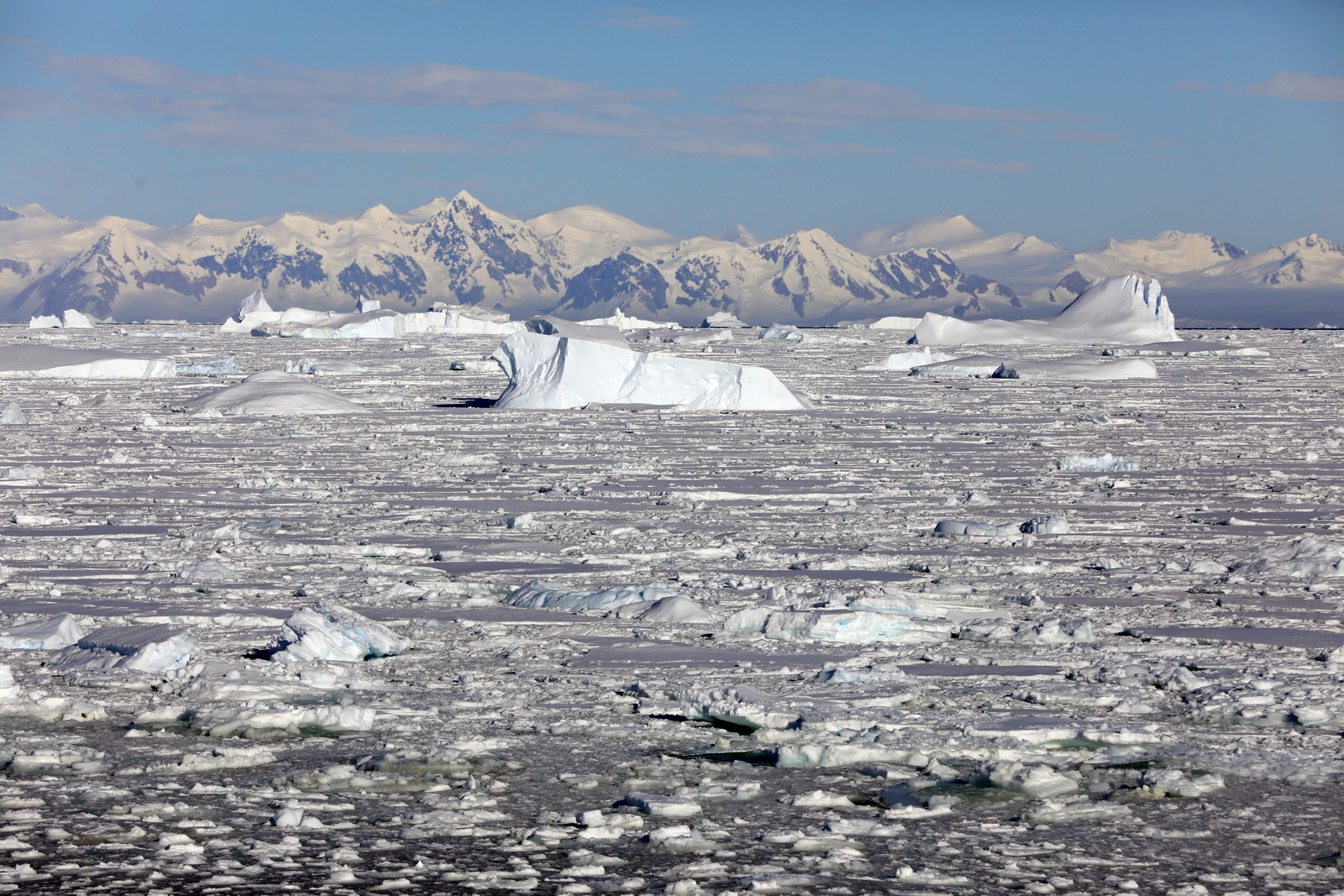 1702_Antarctique_02642_c_sm.jpg