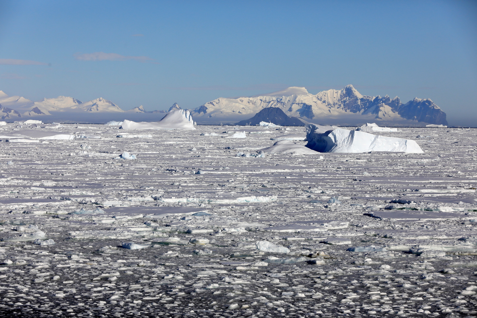 1702_Antarctique_02659_c_sm.jpg