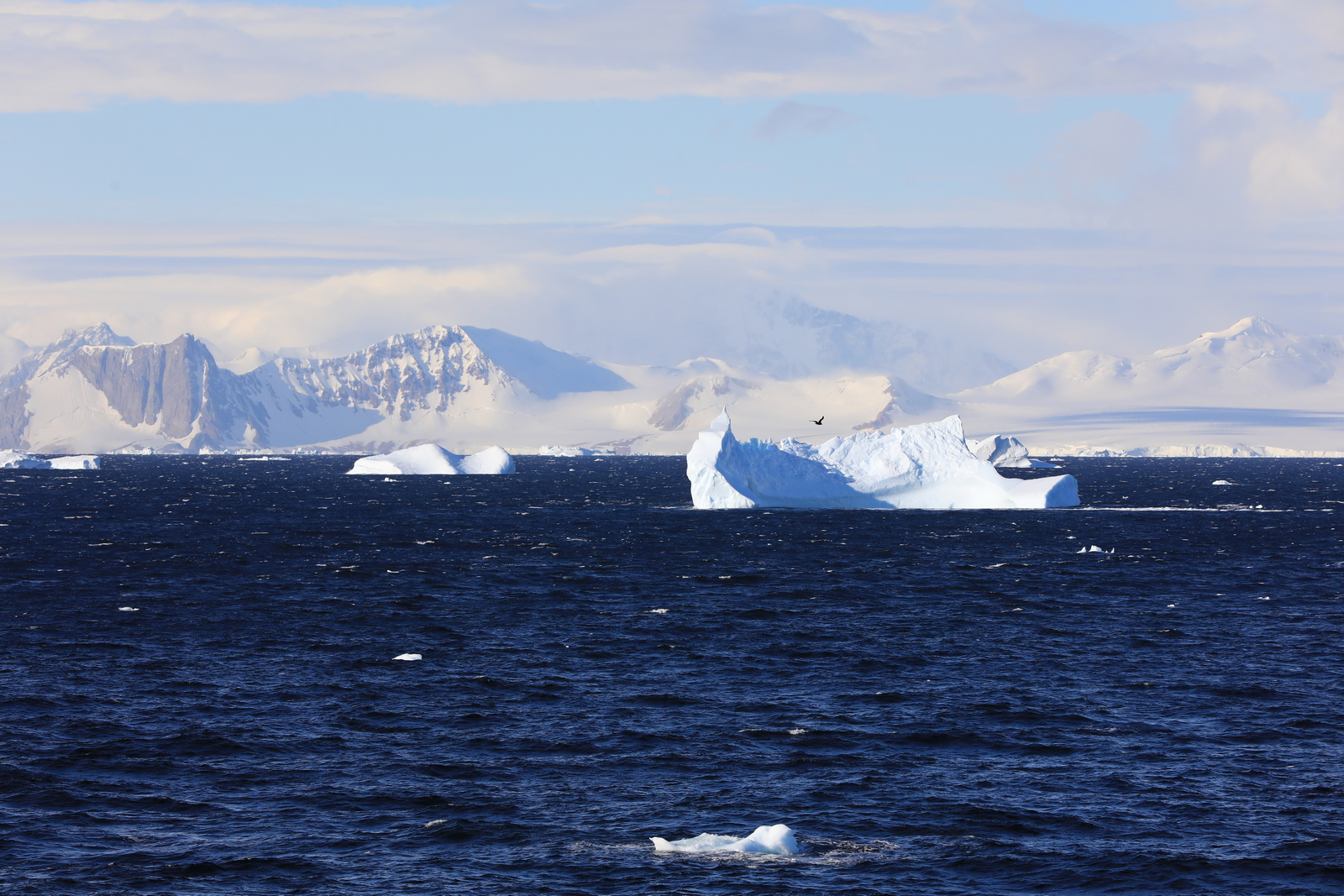 1702_Antarctique_02665_c_sm.jpg