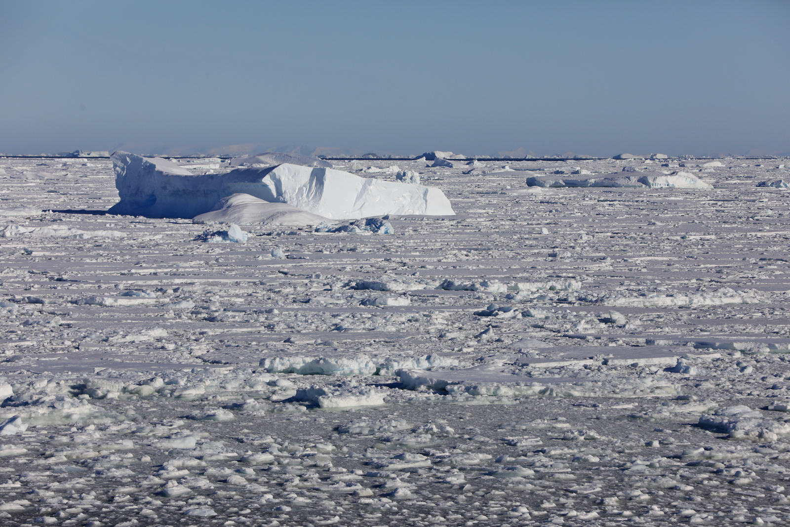 1702_Antarctique_02679_c_sm.jpg