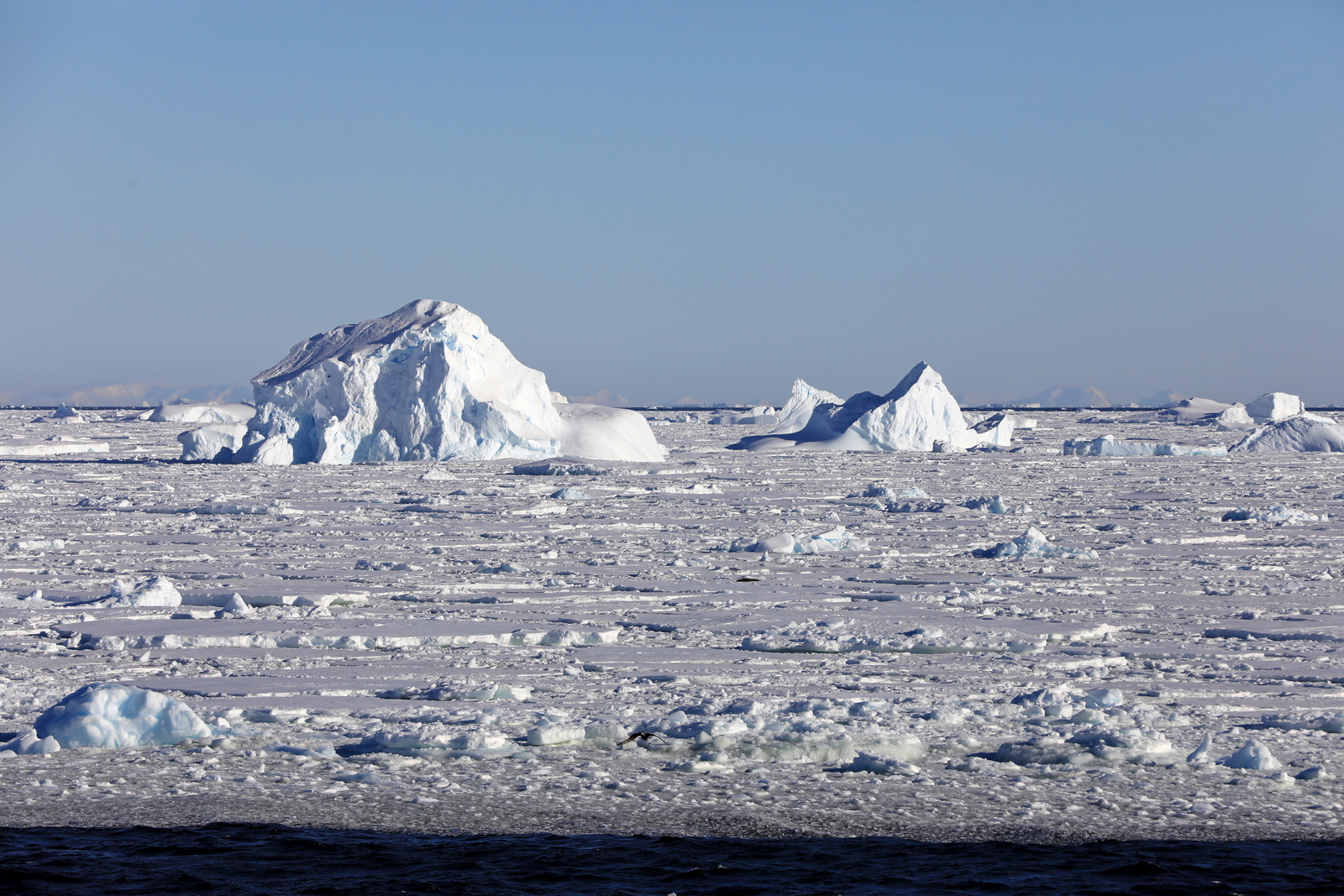 1702_Antarctique_02791_c_sm.jpg