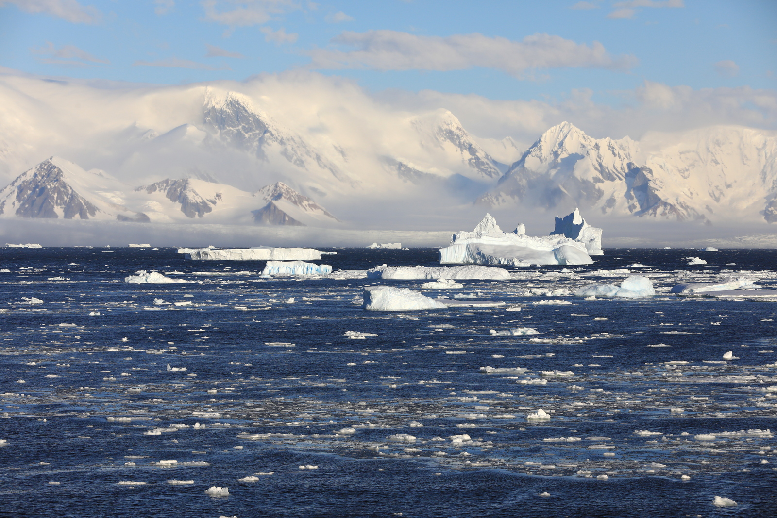 1702_Antarctique_03010_c_sm.jpg