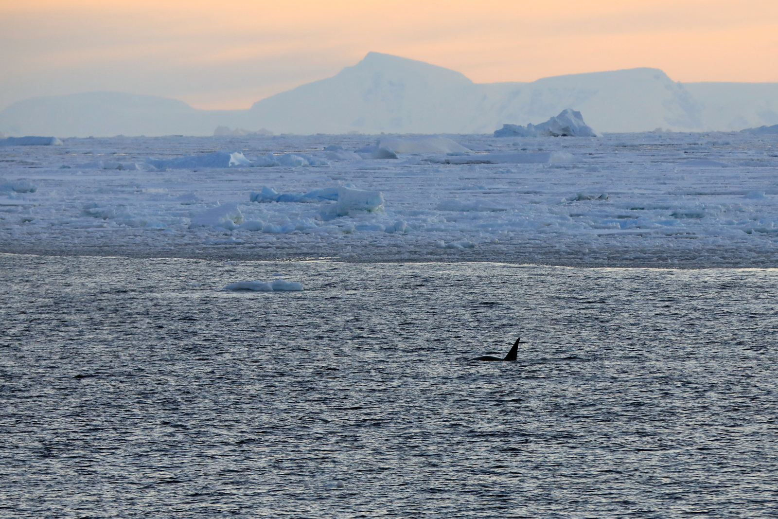 1702_Antarctique_03176_c_sm.jpg