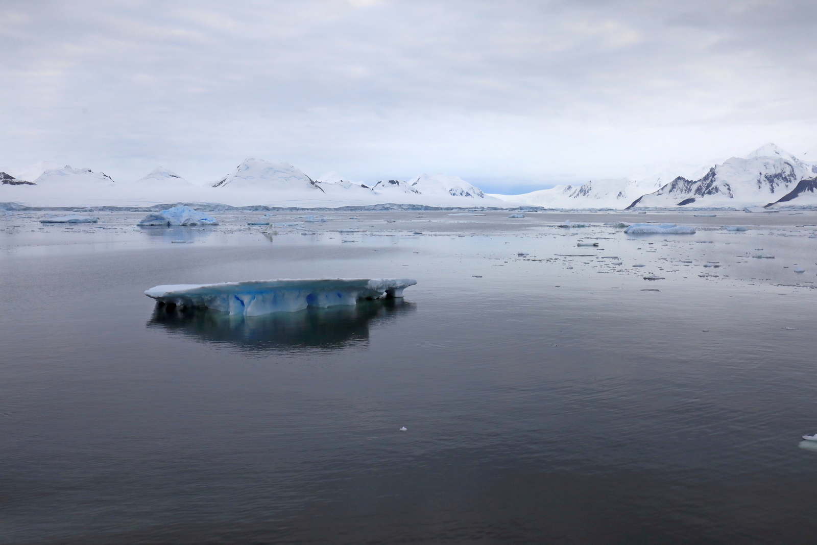 1702_Antarctique_03890_c_sm.jpg