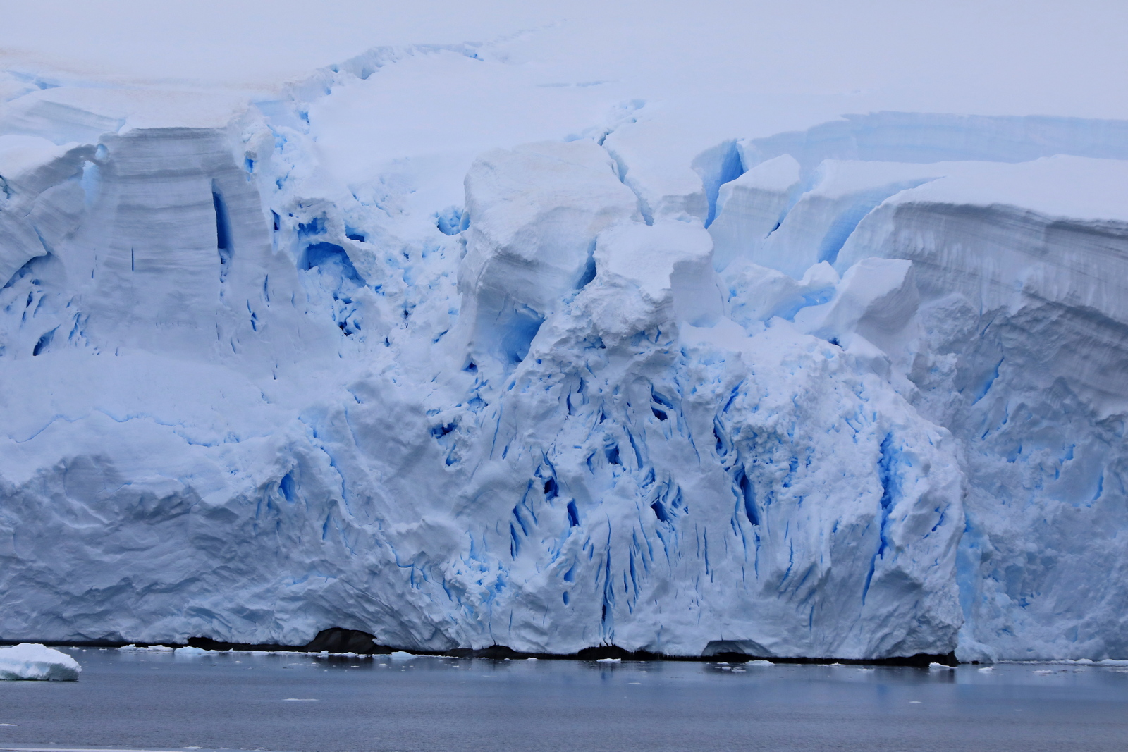 1702_Antarctique_03992_c_sm.jpg