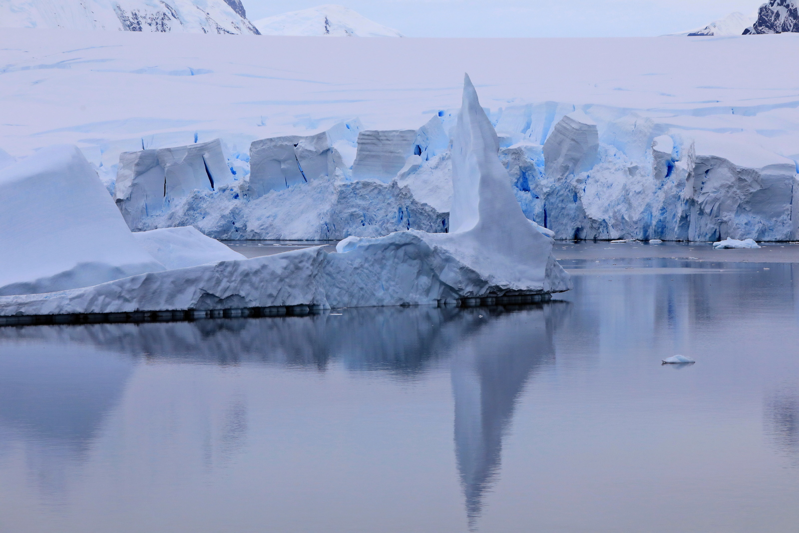 1702_Antarctique_03996_c_sm.jpg