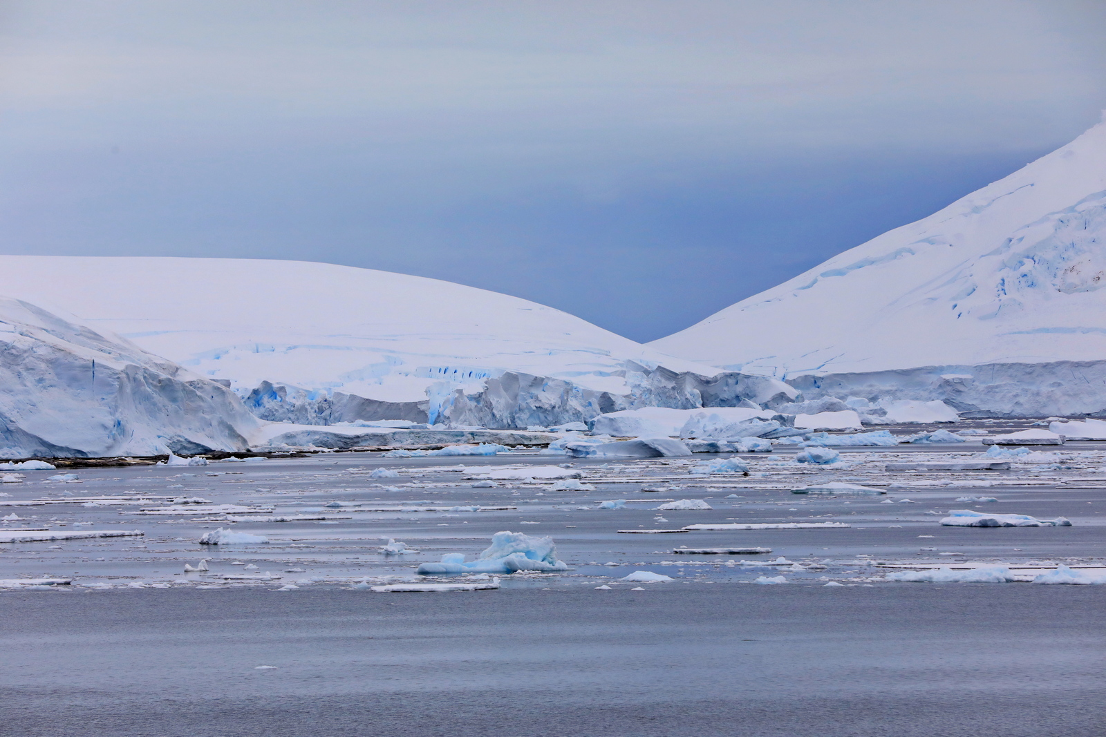 1702_Antarctique_04060_c_sm.jpg