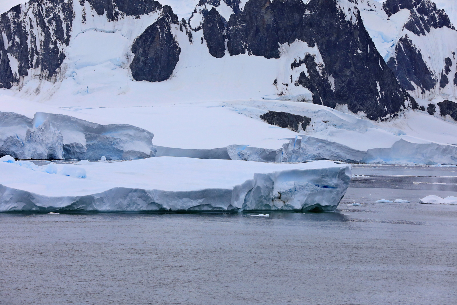 1702_Antarctique_04058_c_sm.jpg