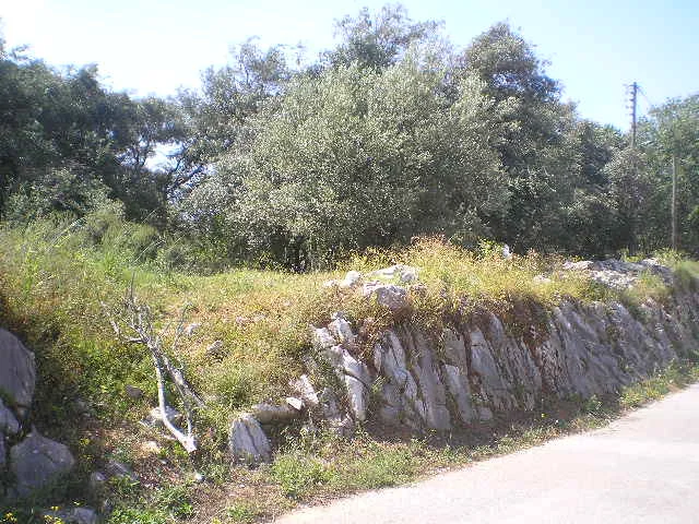 KambosLand-2.jpg