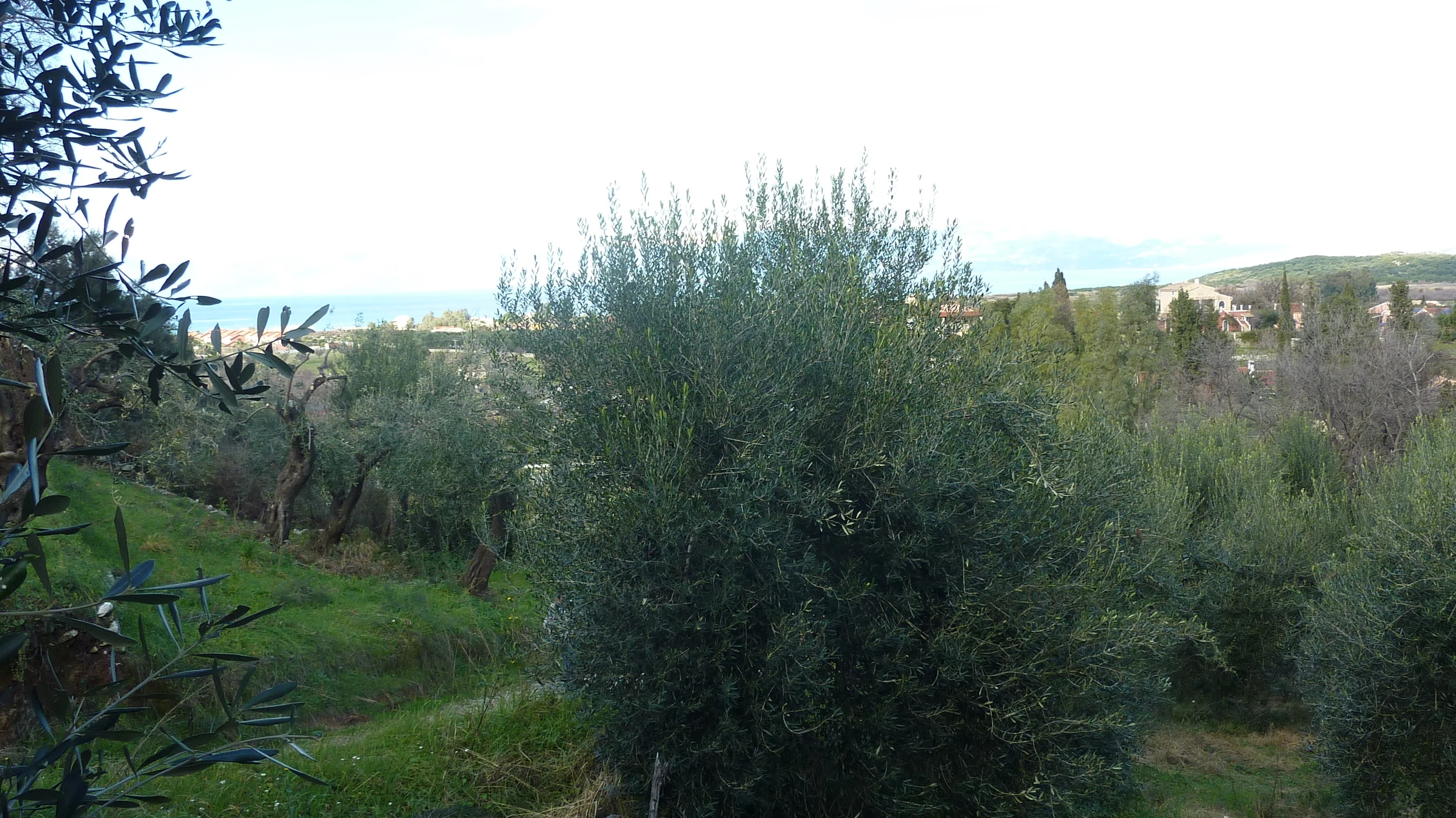 2015-01-29 15.02.23.jpg