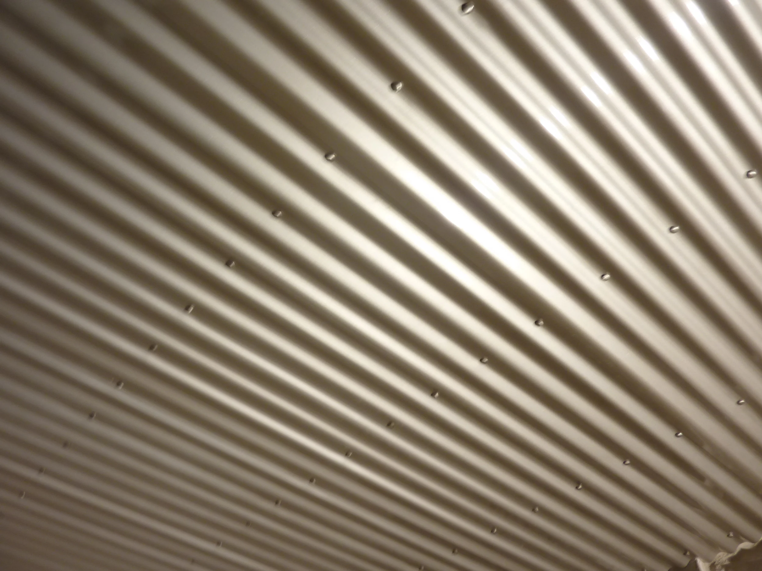 P1080152.JPG