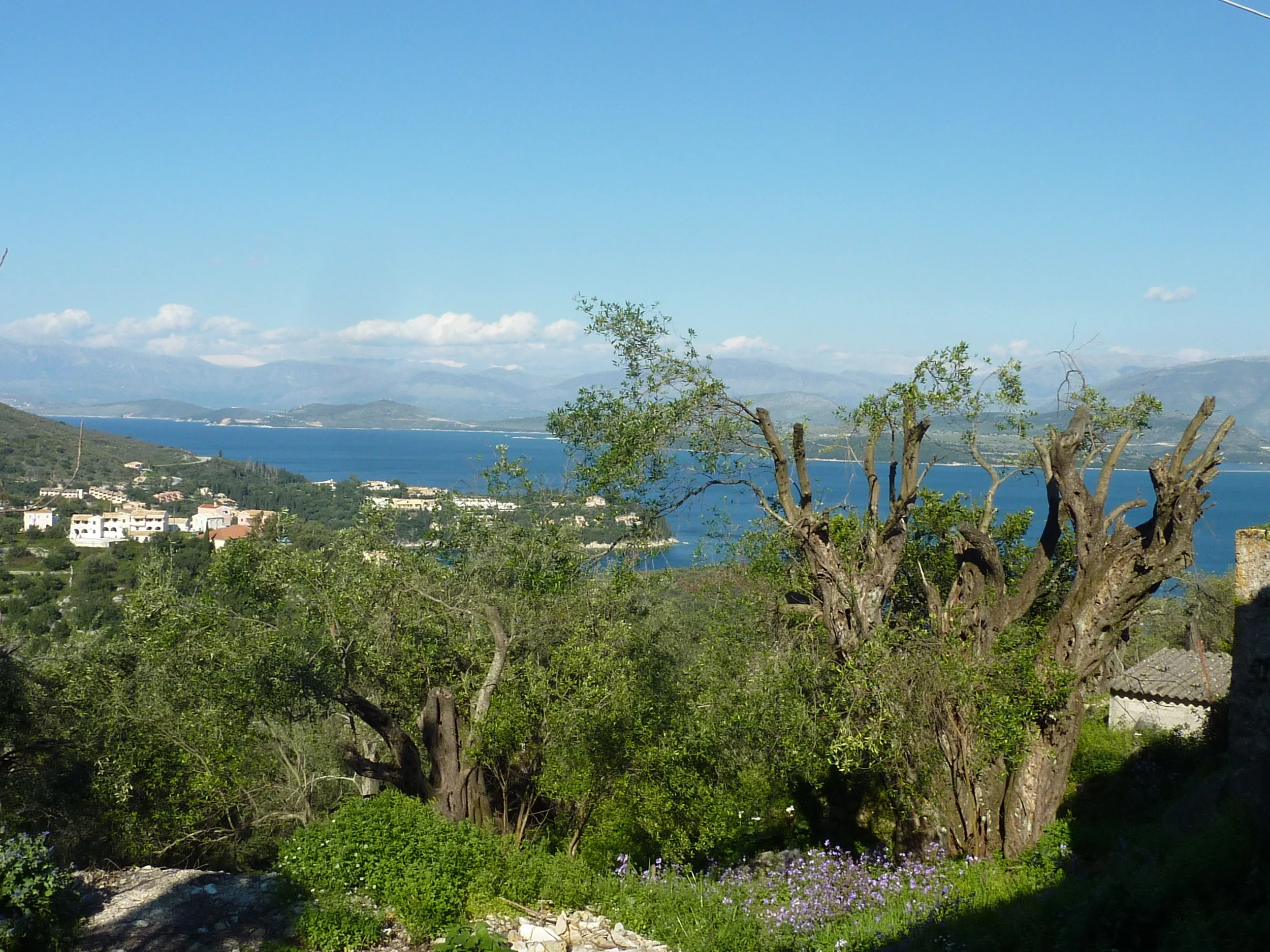 P1080277.JPG