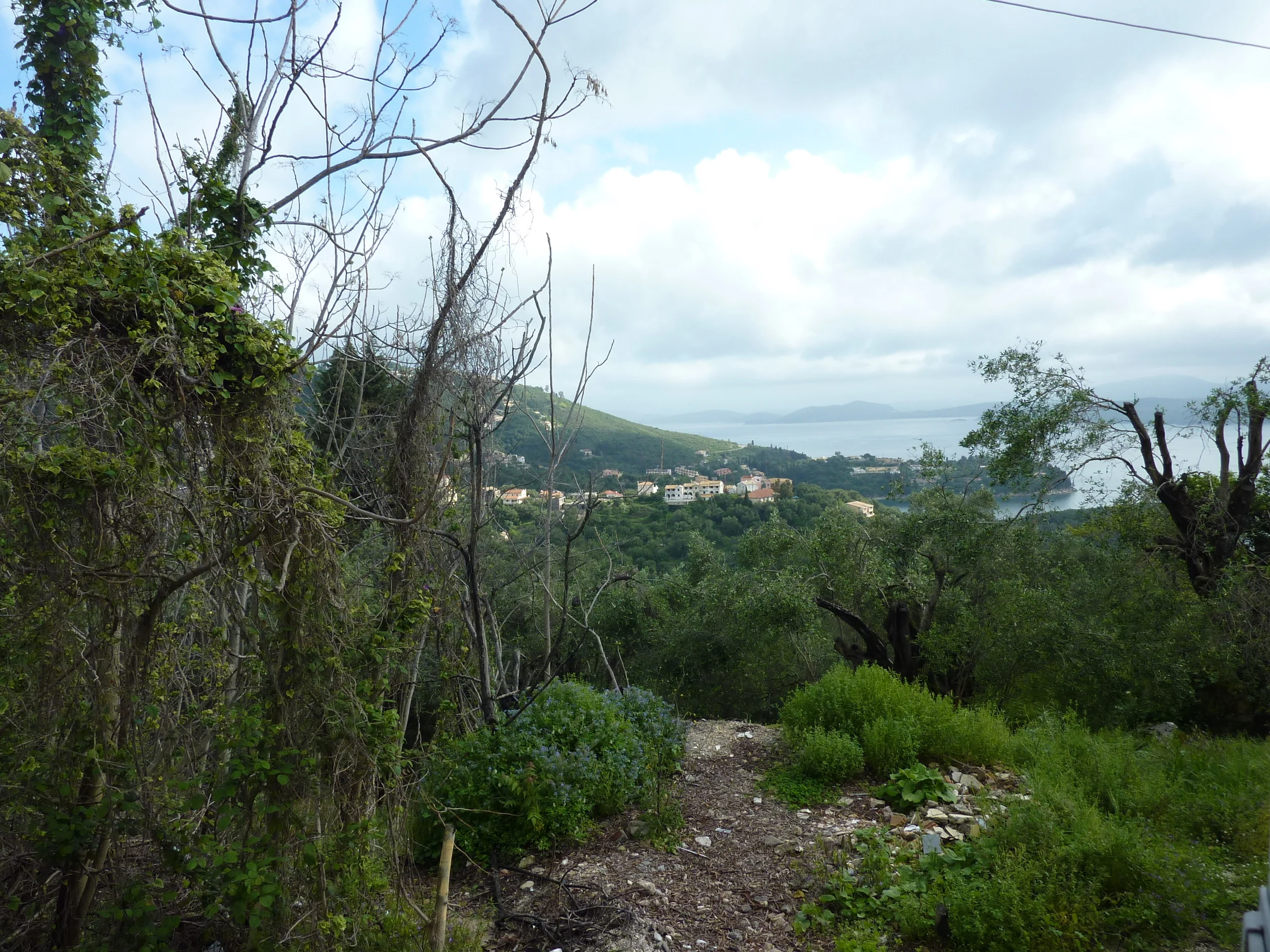 P1080334.JPG