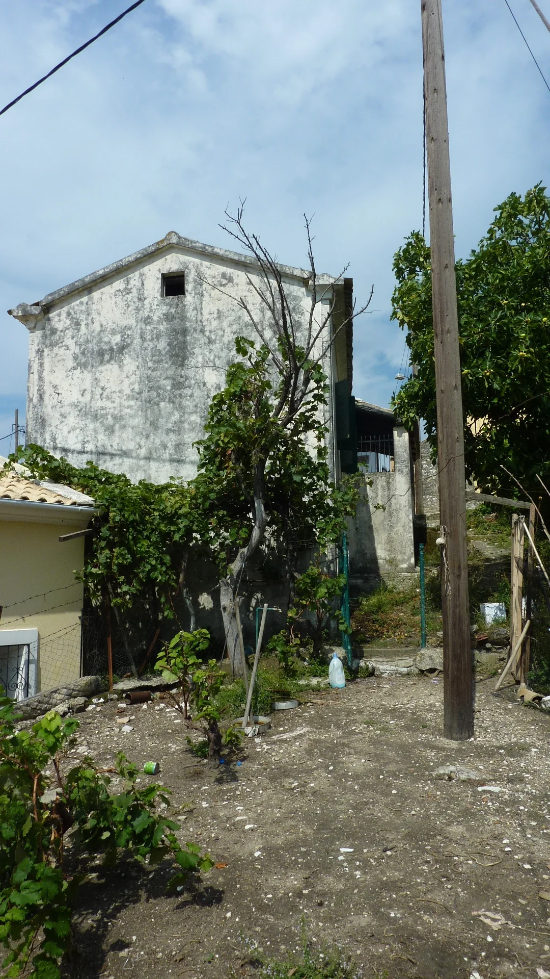 P1090280.JPG