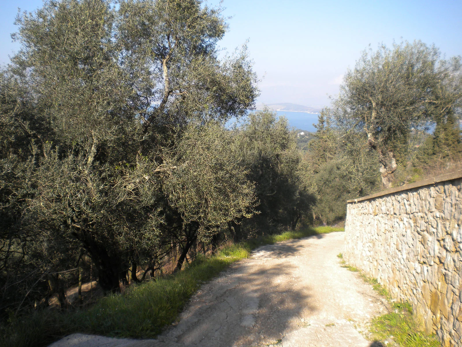 Land (1).jpg