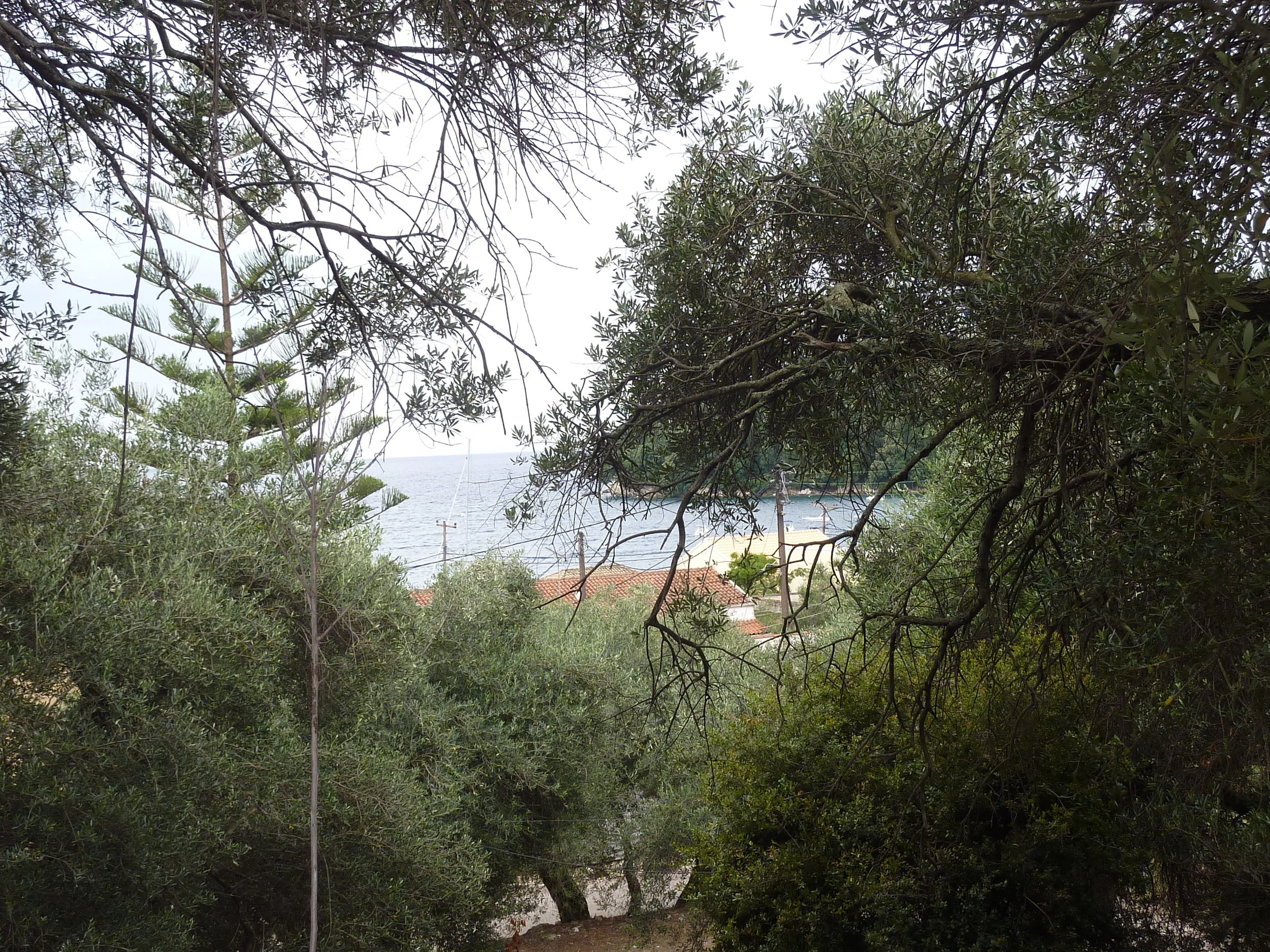 2018-06-25 13.28.20.jpg